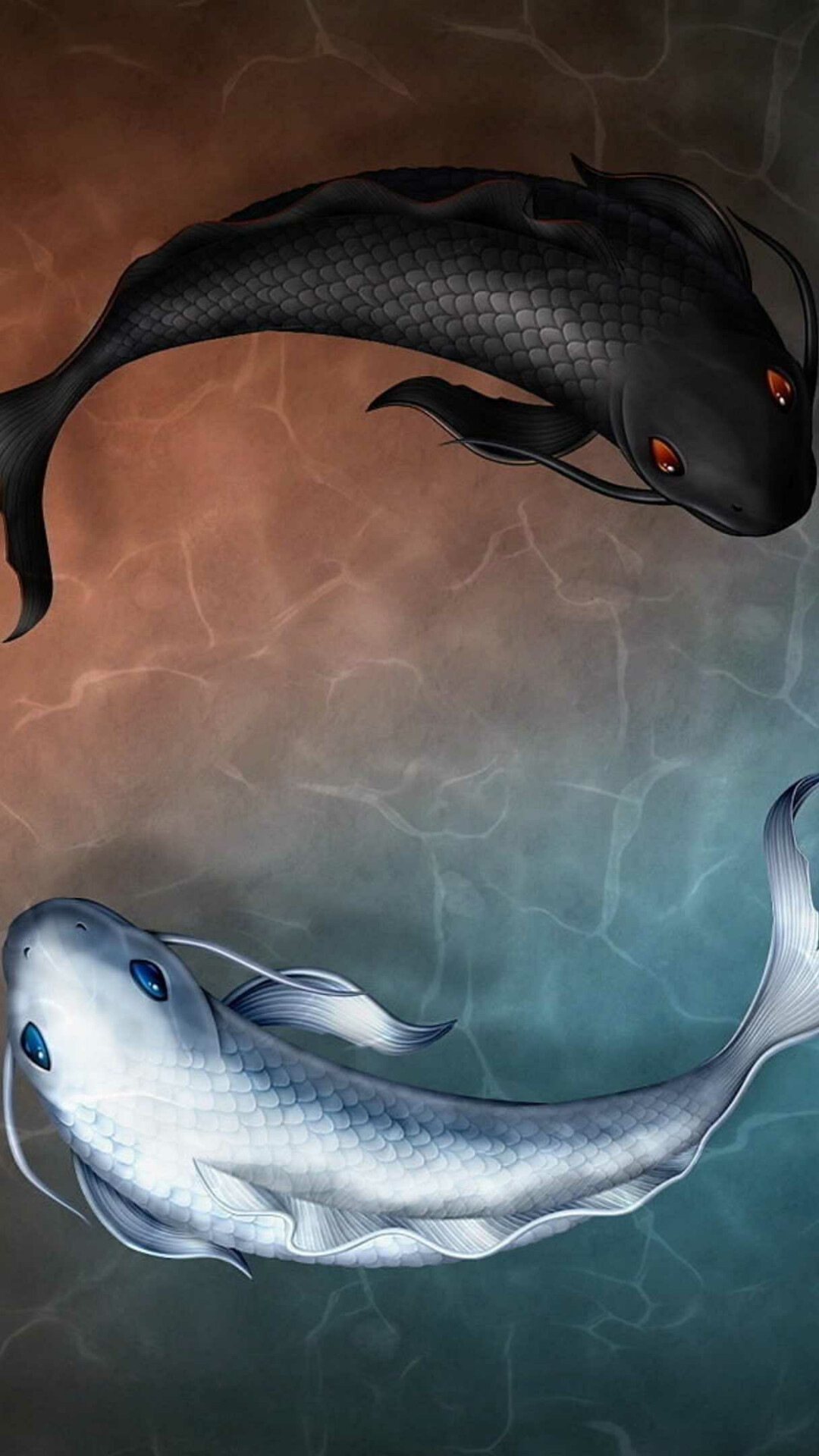 Fish: Aquatic vertebrates, Have gills, paired fins, a long body covered with scales, Koi. 1080x1920 Full HD Background.