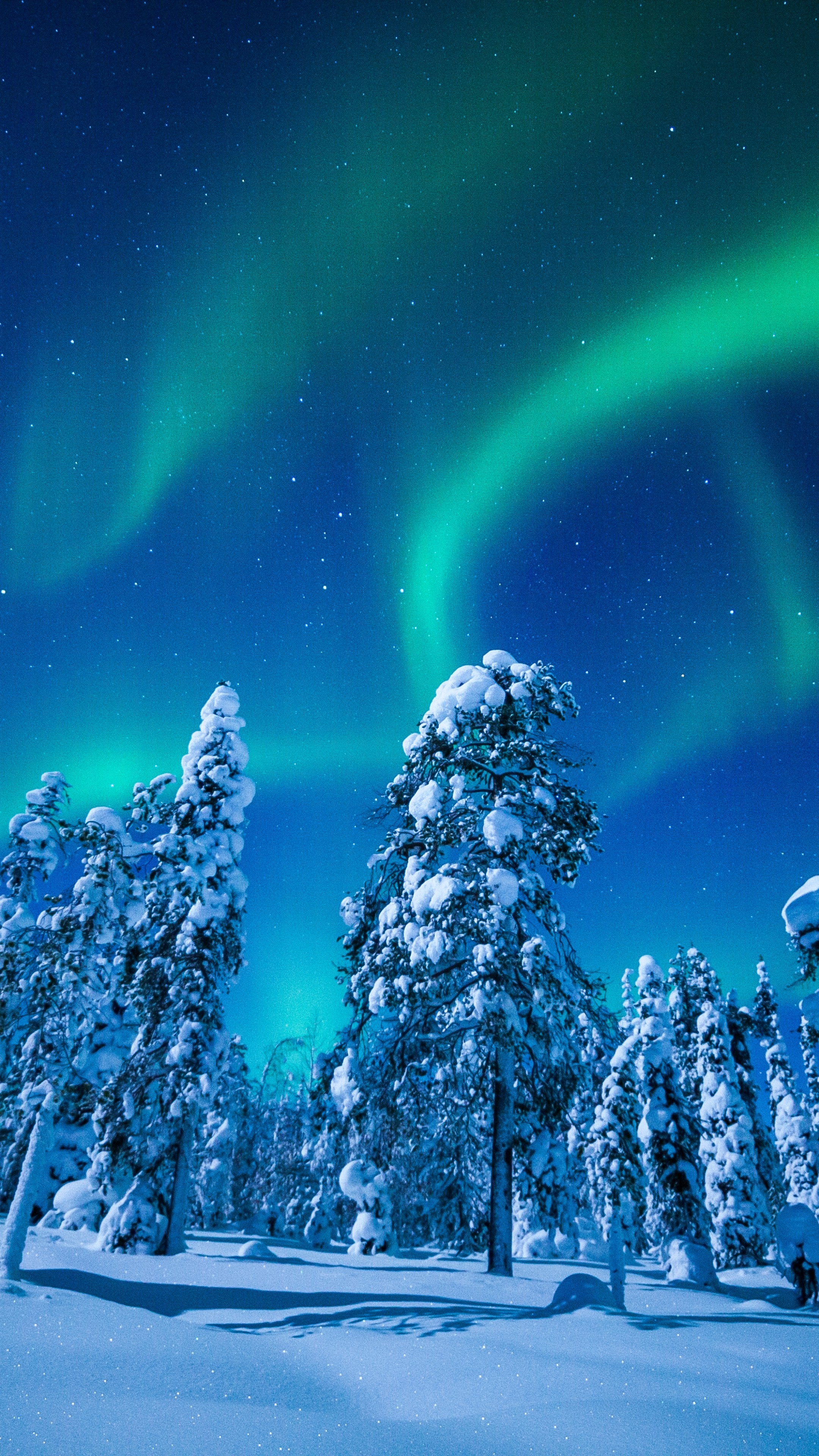 Snow, Lapland Finland, Winter night, 2160x3840 4K Handy