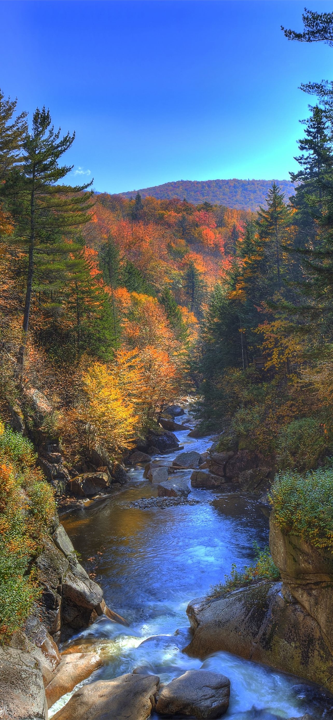 Best iPhone HD wallpapers, New Hampshire, 1290x2780 HD Phone