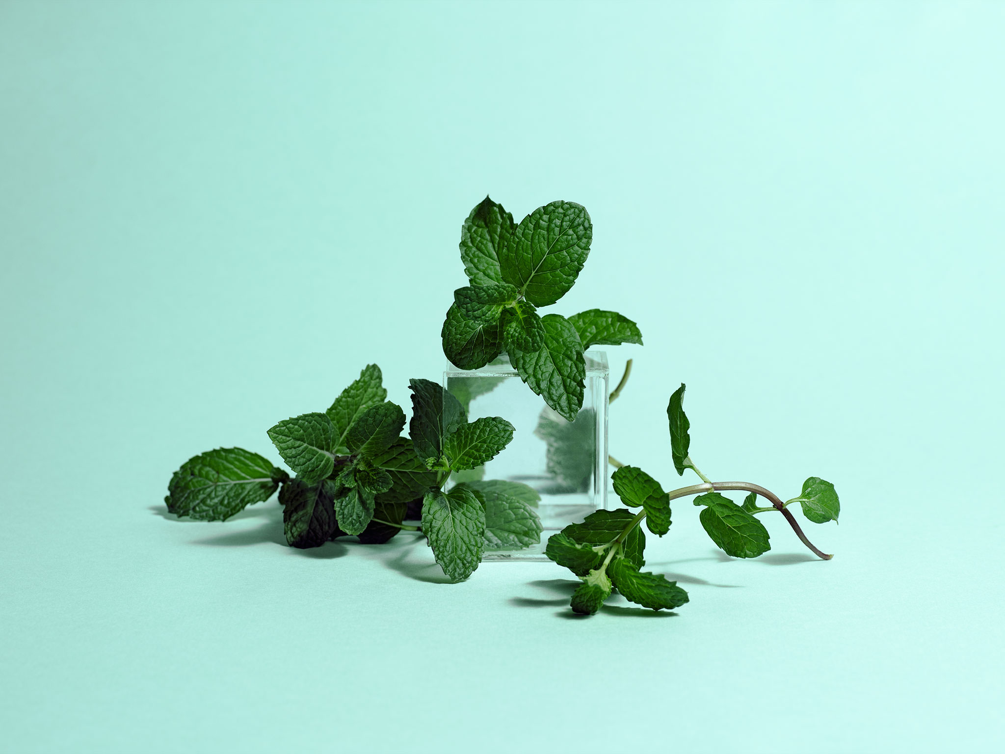 In season now, Mint, Buying tips, Culinary uses, 2050x1540 HD Desktop