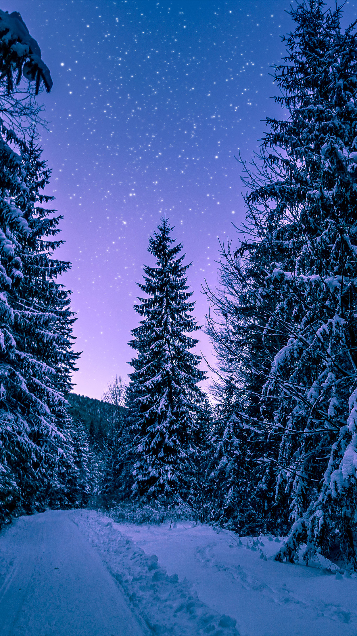| iPhone11 wallpaper | nx97-snow -winter-wood-tree-road-night-nature 1250x2210