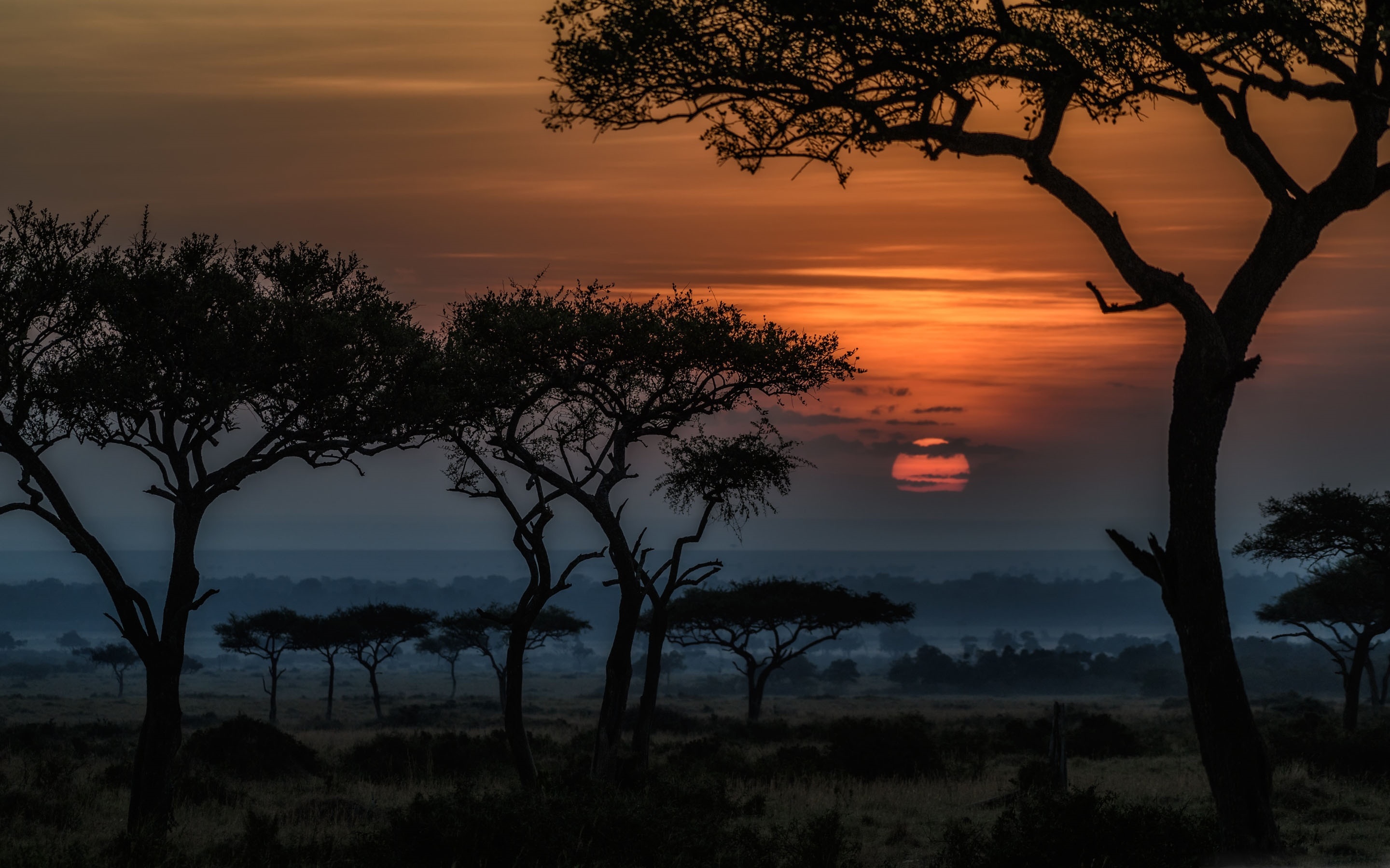 Sunrise in Maasai Mara, Kenya, Africa, 2880x1800 HD Desktop