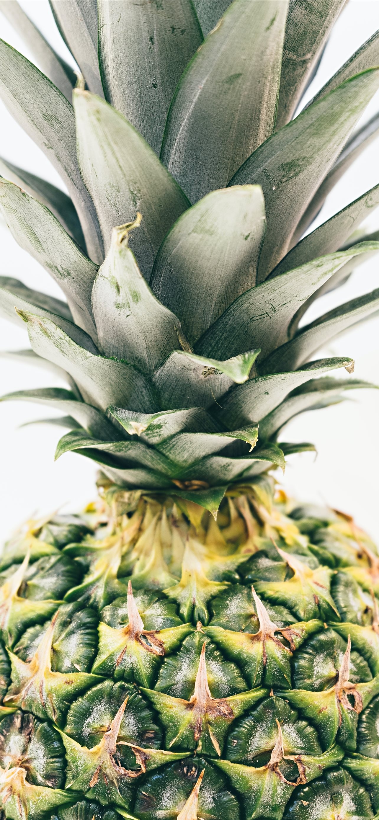 Pineapple: A characteristic ingredient in the meat, vegetable, fish, and rice dishes. 1290x2780 HD Background.