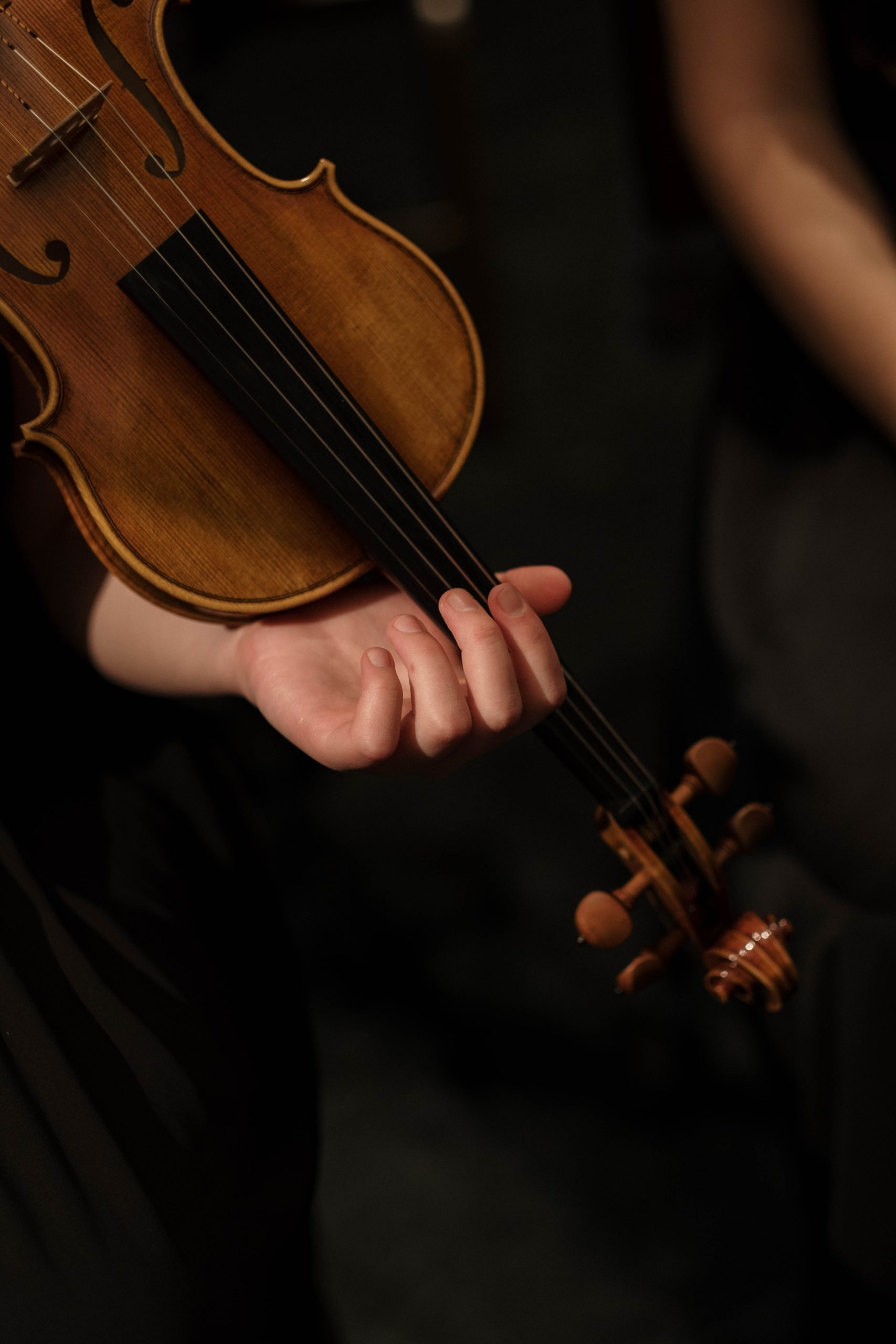 Viola: Bloomingdale School Of Music, String Quartets And Symphonic Writing. 1710x2560 HD Wallpaper.