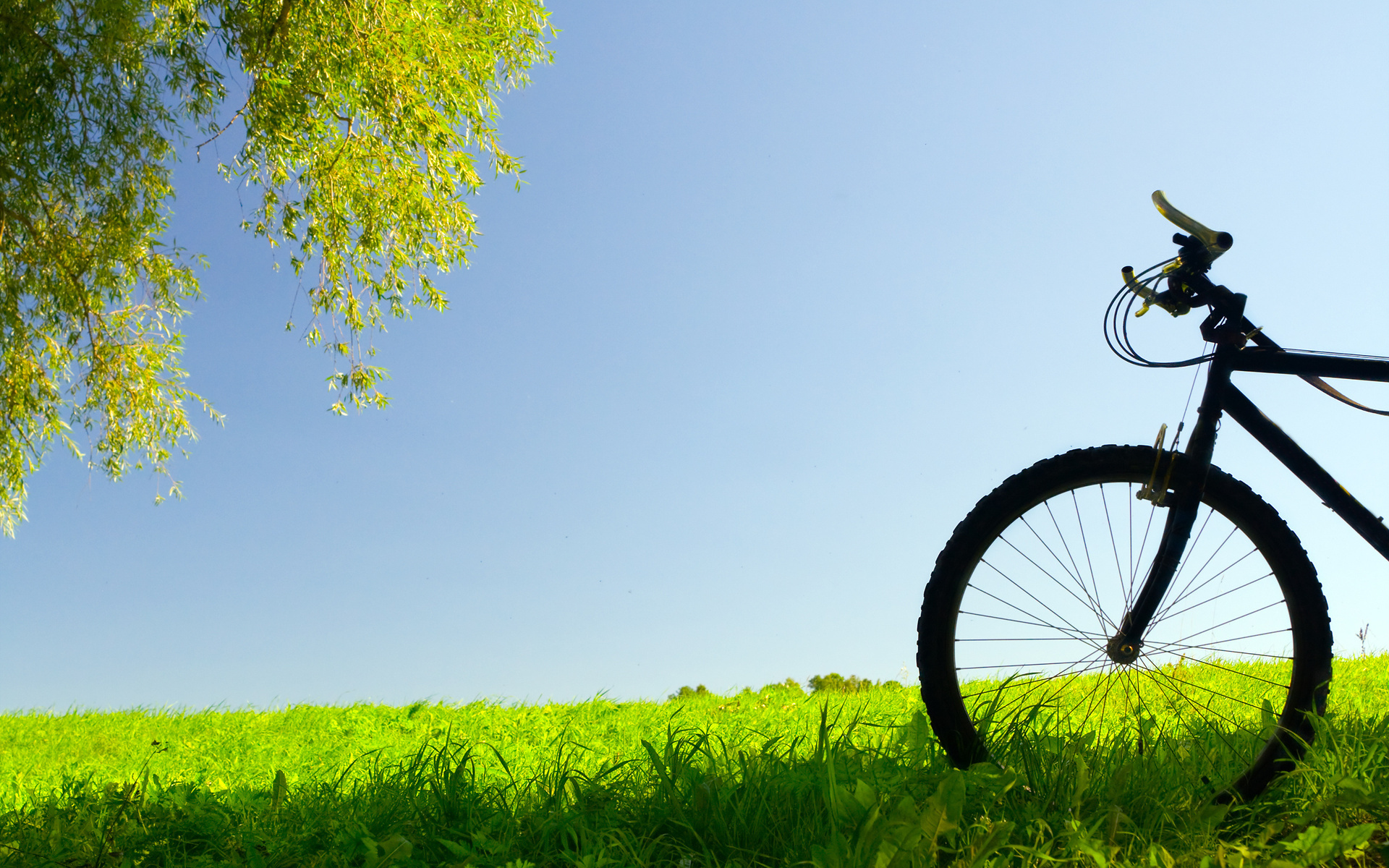 Bicycling wallpapers, Dropping jaws with stunning visuals, 1920x1200 HD Desktop