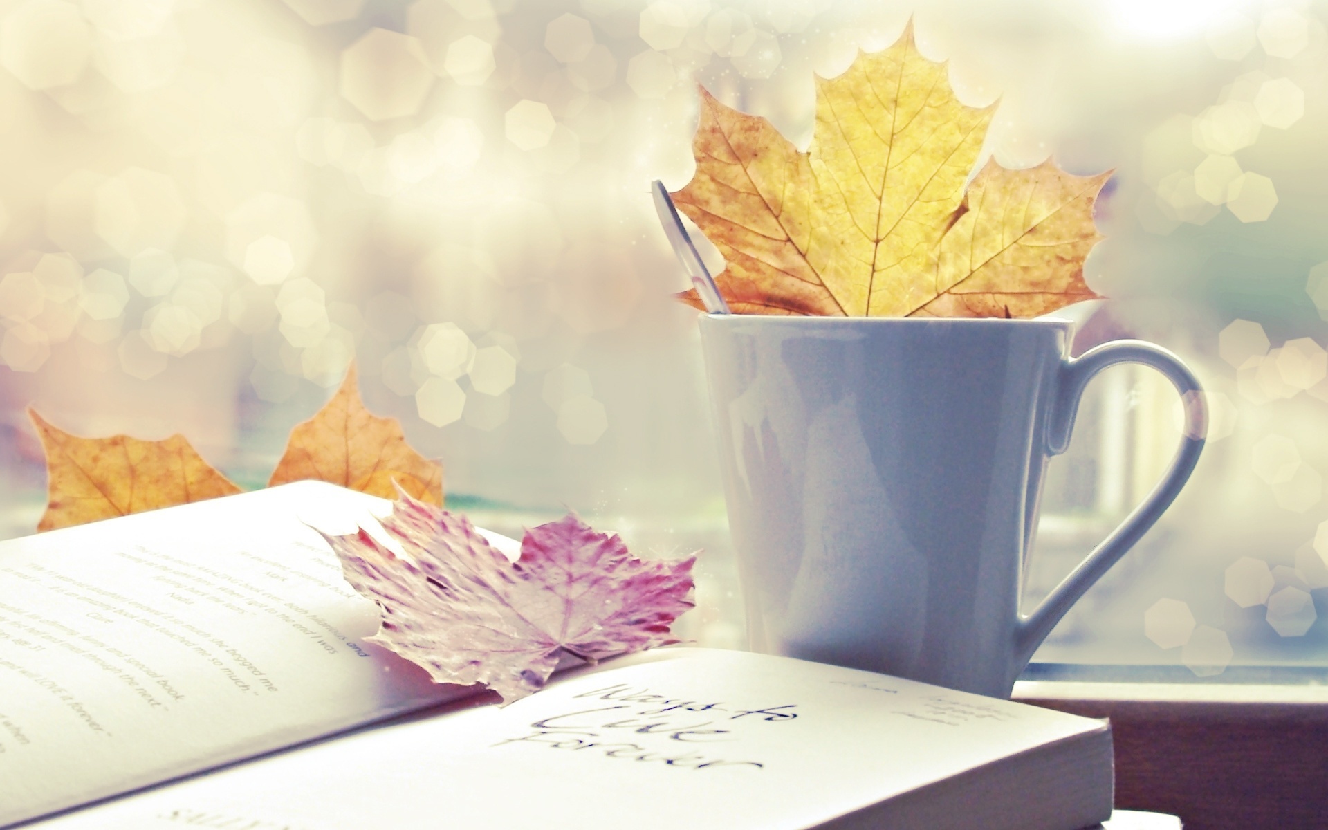 Autumn mood book petal computer wallpaper, Fall foliage, Cozy reading spot, Warm drink, 1920x1200 HD Desktop