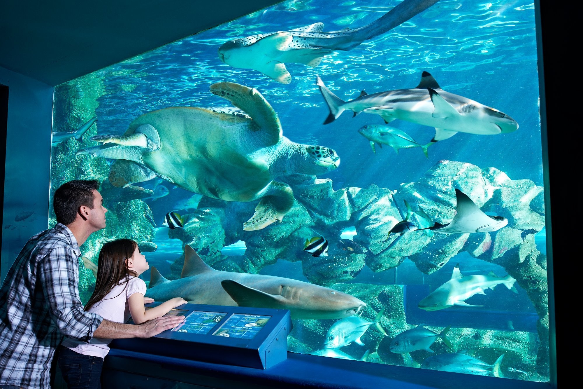 Oceanarium | Day Out With The Kids 2000x1340