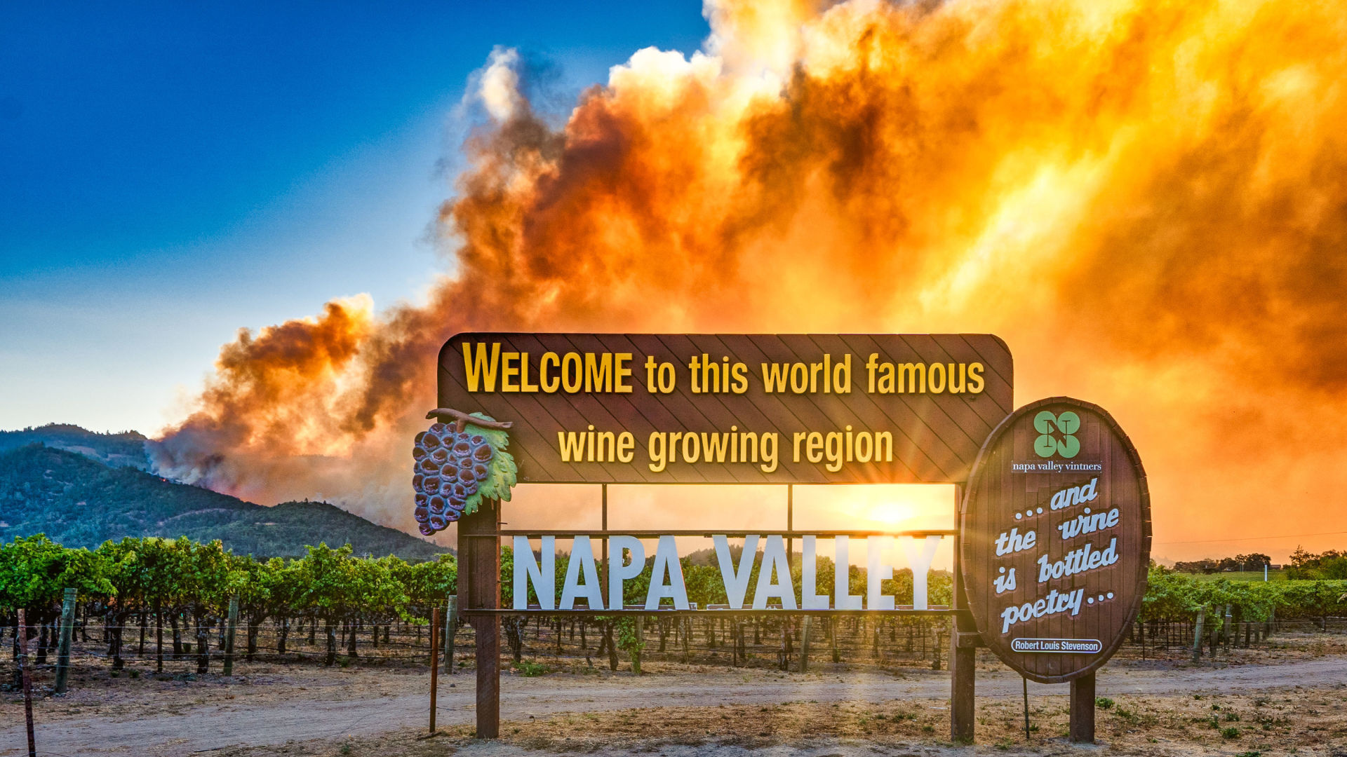 Challenging year for Napa Valley, Wine industry struggles, 2020 recap, Local news, 1920x1080 Full HD Desktop