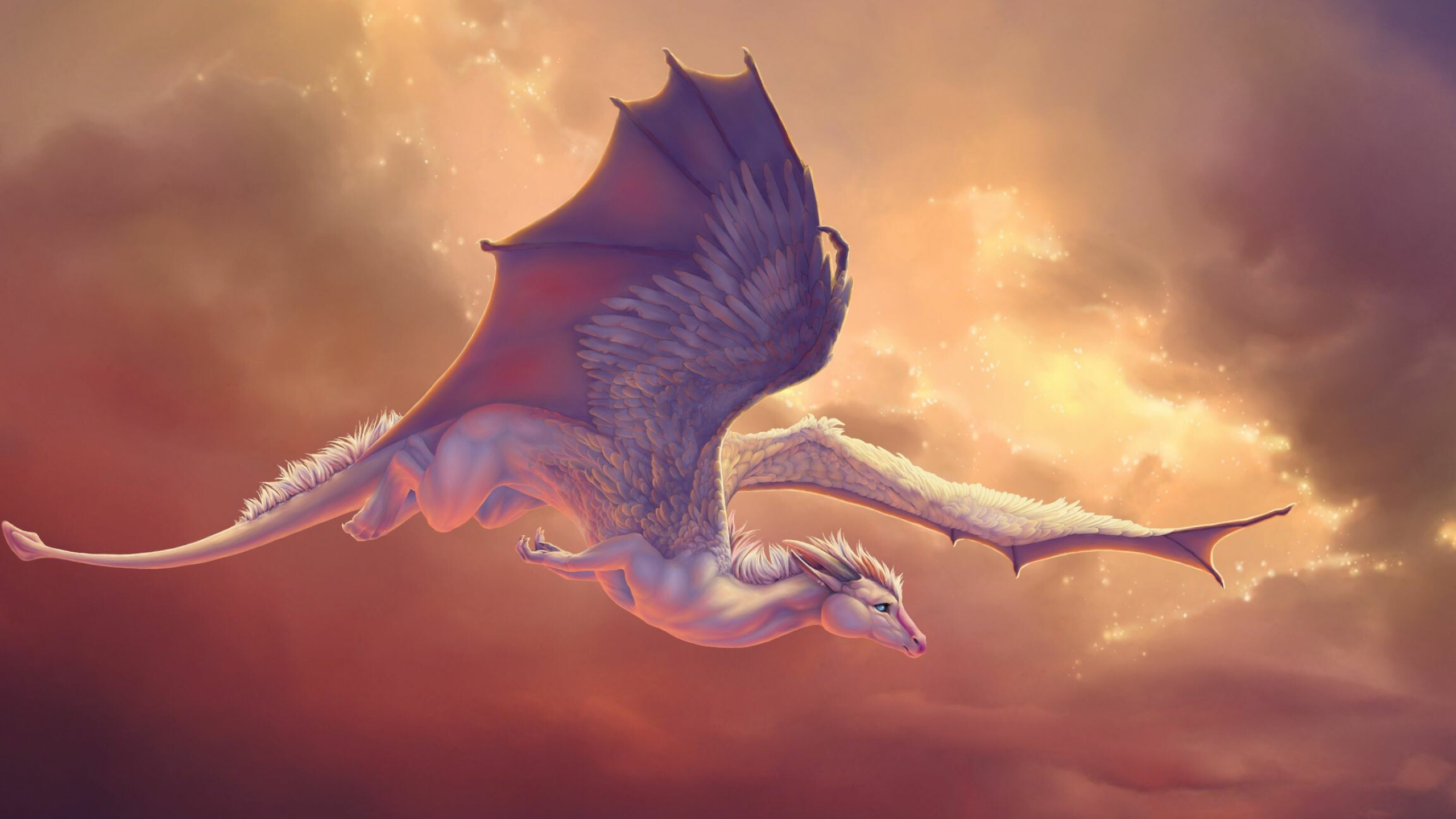Dragon: Mythical beast, Fictional character. 2560x1440 HD Wallpaper.
