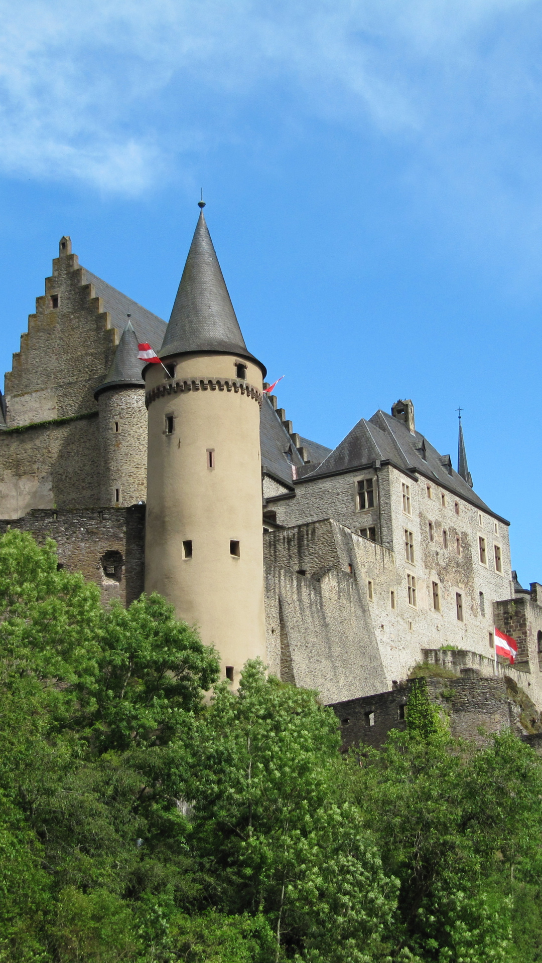 Luxembourg Castle, Vianden Castle, Europe Rocks, High Resolution, 1080x1920 Full HD Phone