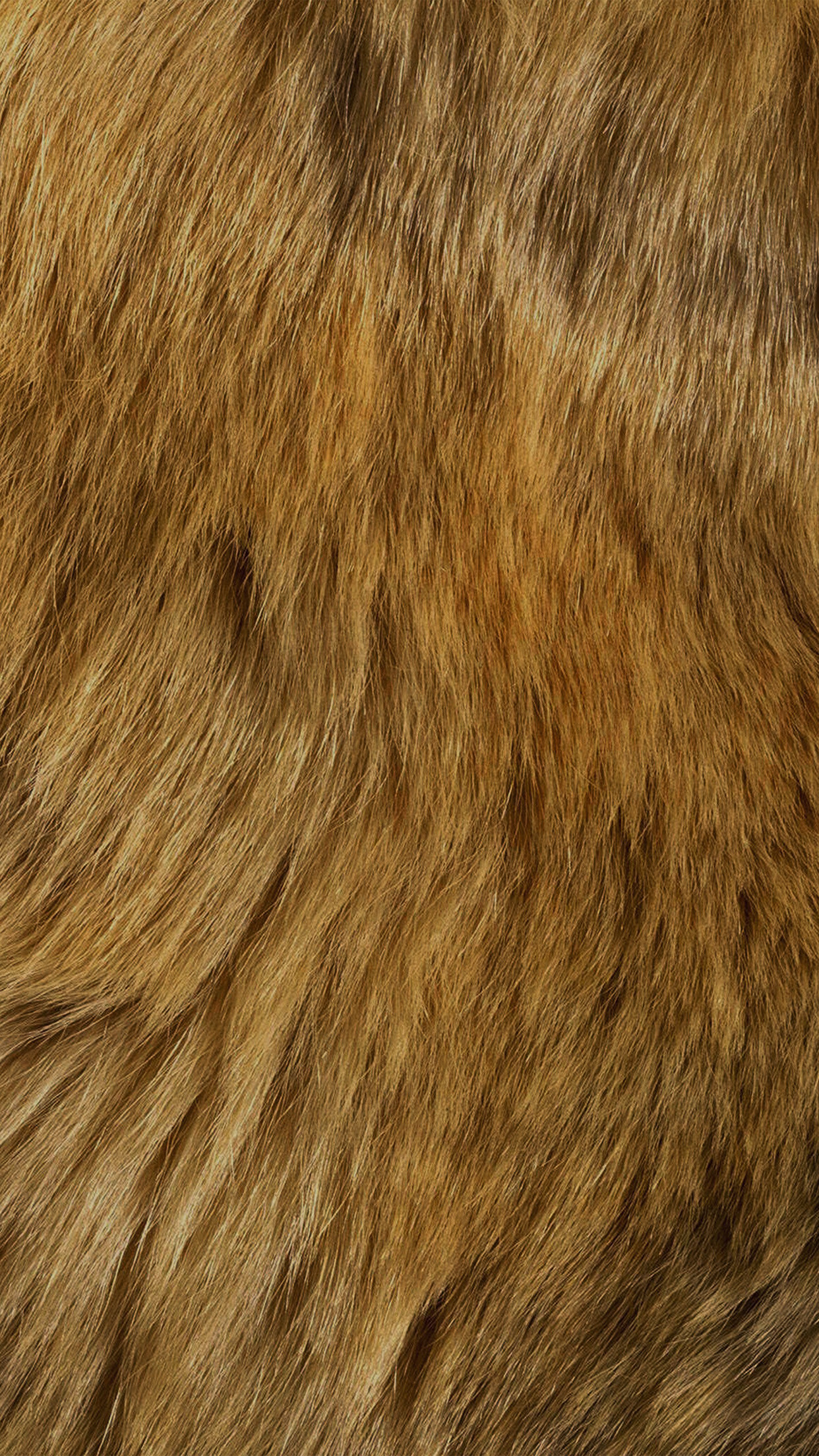 Fur wallpapers, Cozy textures, Comfortable backgrounds, Soft and fluffy, 1250x2210 HD Phone
