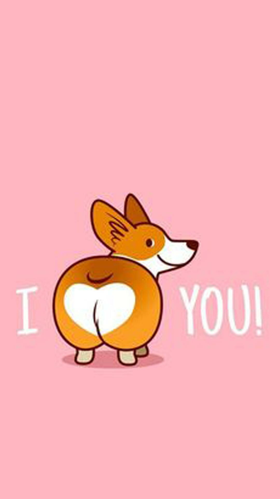 Corgi: The name of the breed is derived from the Welsh words cor and ci. 1080x1920 Full HD Wallpaper.