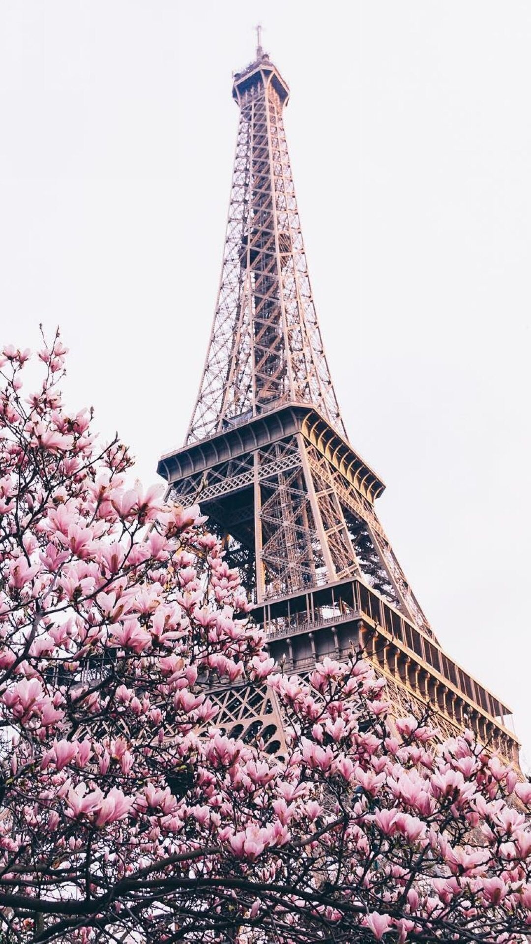 Paris: The most romantic city in the world, France. 1080x1920 Full HD Wallpaper.