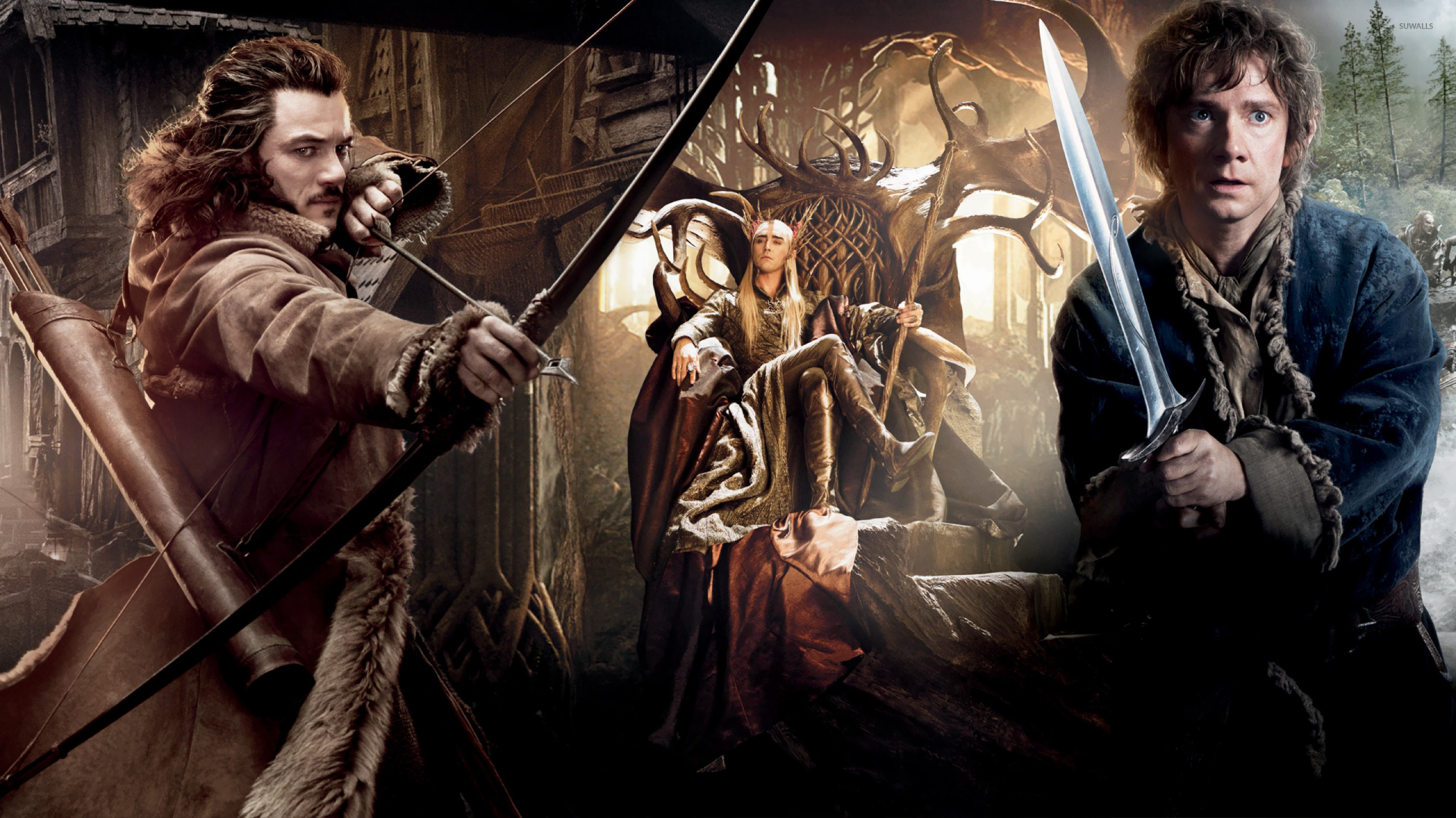 The Hobbit: The Desolation of Smaug wallpaper, Movie wallpapers, Epic adventure, 2560x1440 HD Desktop
