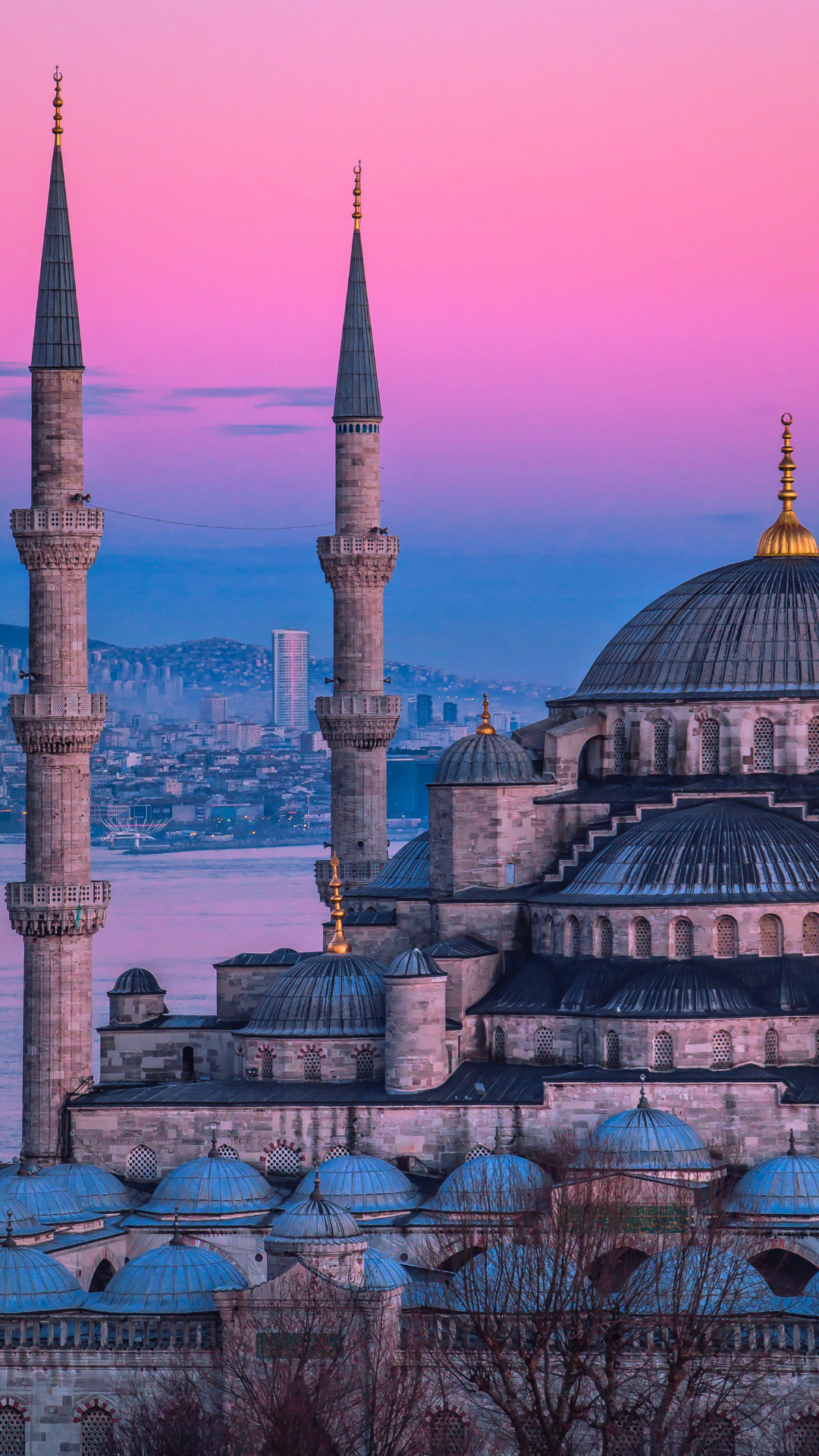 Istanbul Art Fair, Turkey, Istanbul Travel, Mosques, 1080x1920 Full HD Phone