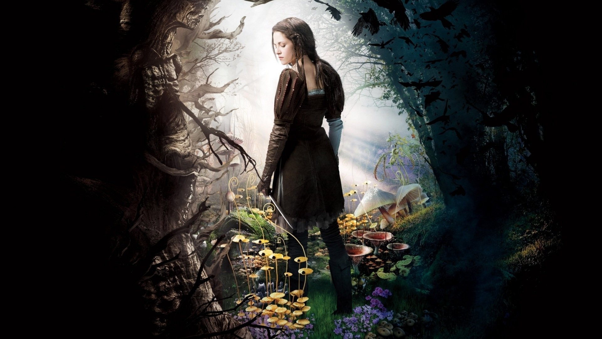 Snow White and the Huntsman, HD wallpaper, Background image, Movie, 1920x1080 Full HD Desktop