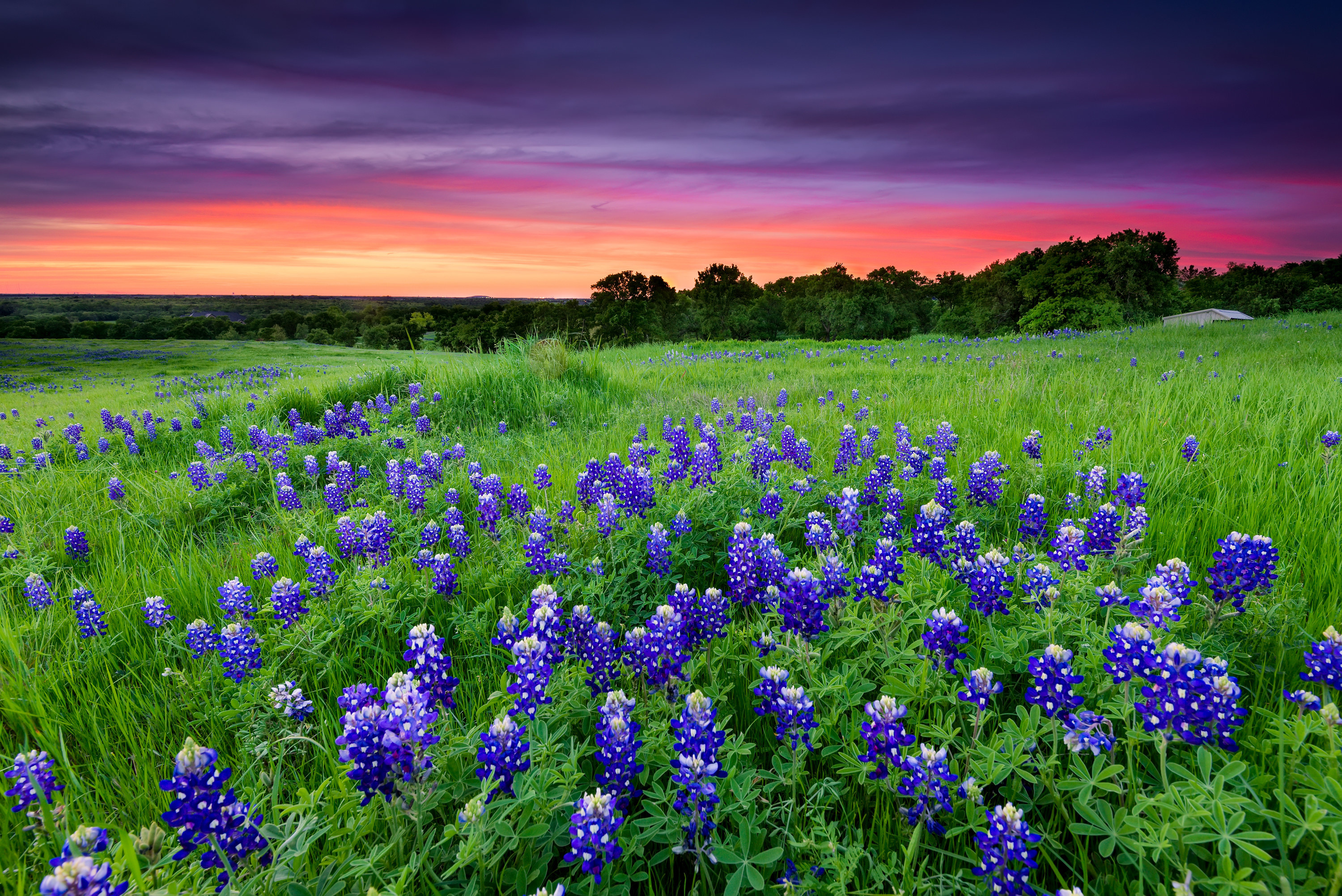 Texas Hill Country, Charming small towns, 3000x2010 HD Desktop