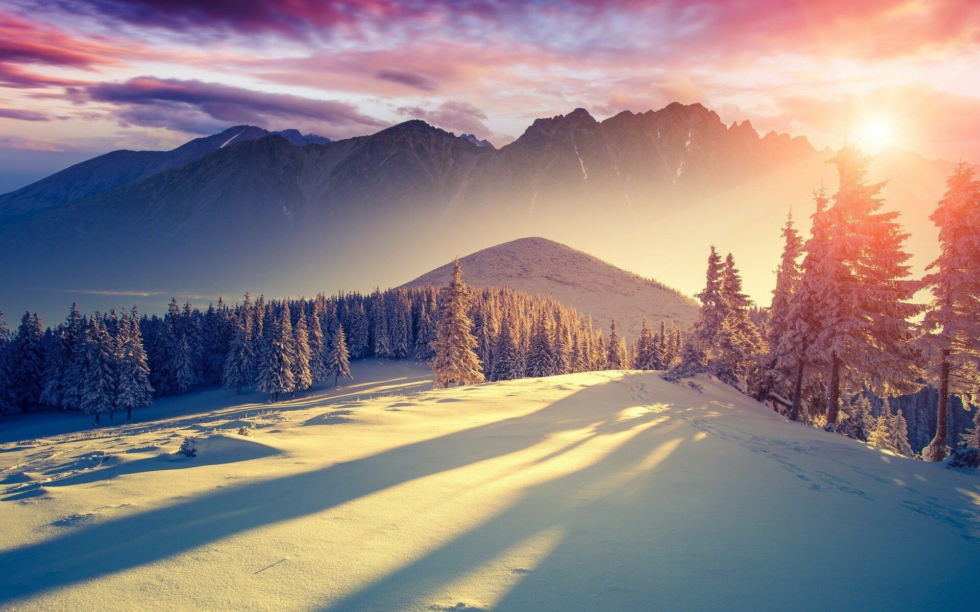 Winter: Snowfield, A permanent wide expanse of snow in mountainous regions. 1920x1200 HD Wallpaper.