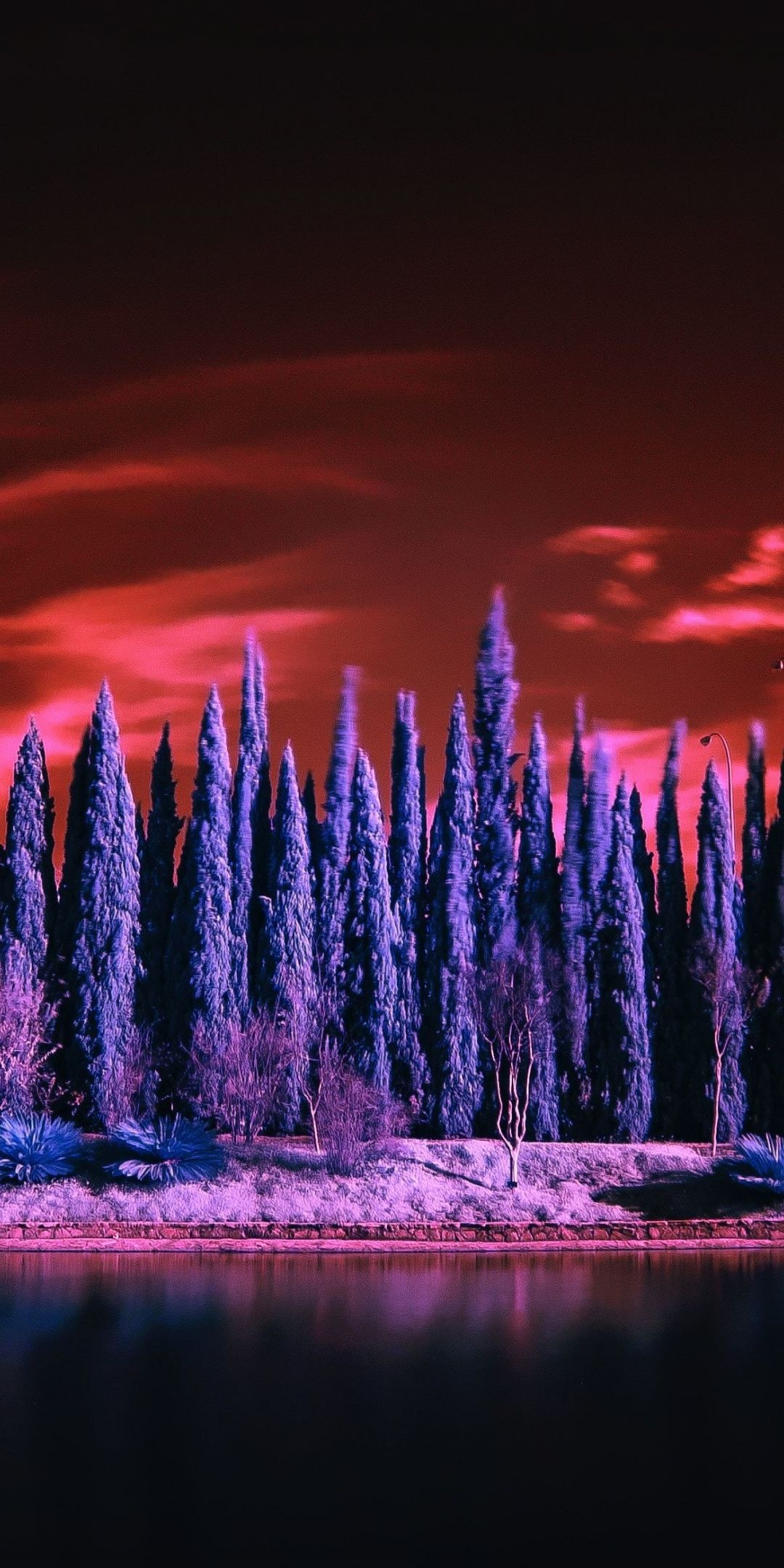 Cypress trees, Lake infrared, HD nature wallpapers, 1080x2160 HD Phone