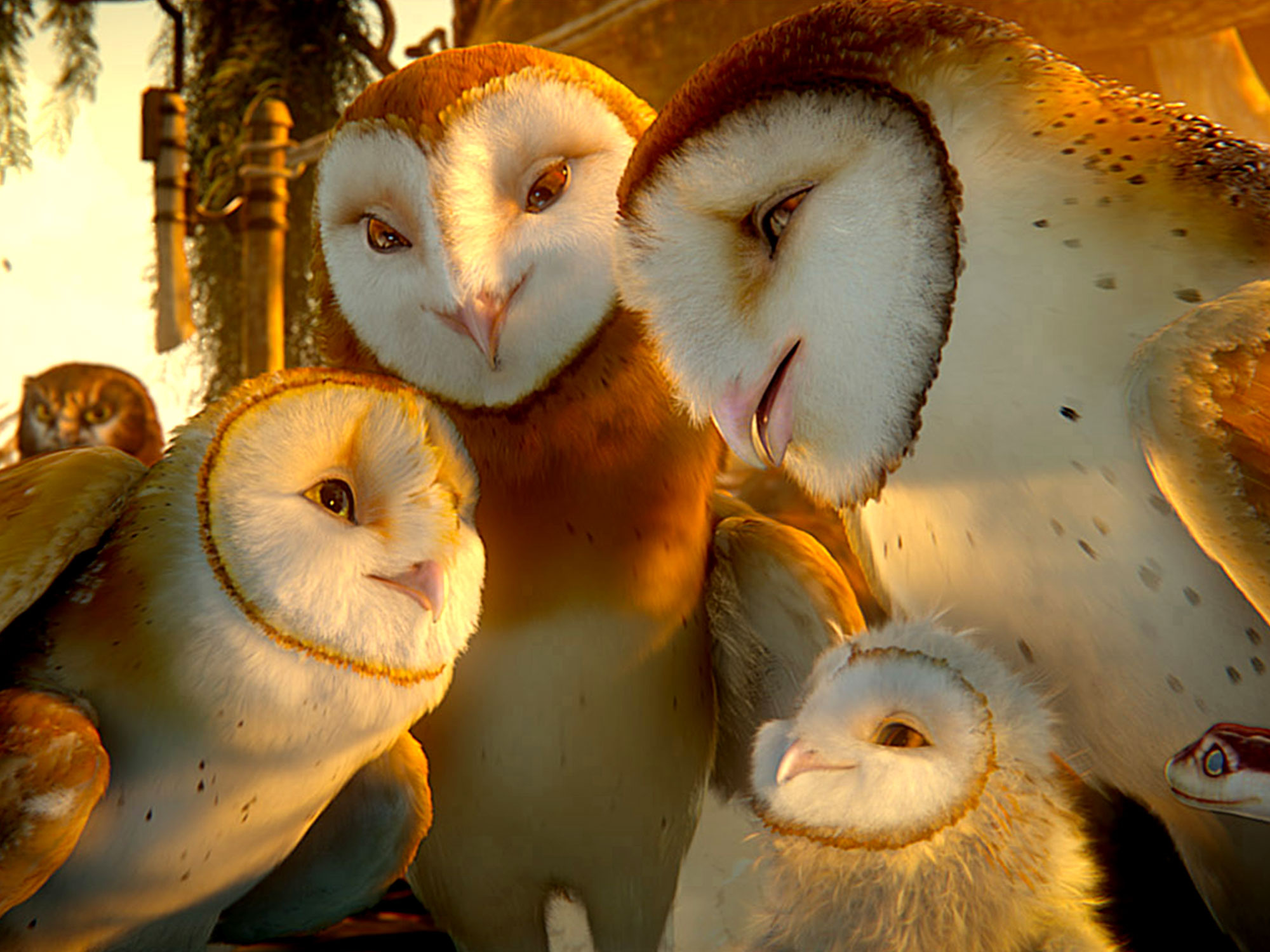 Legend of the Guardians: The Owls of Ga'Hoole, Heartwarming fanart, Breathtaking movie, Majestic owls, 2000x1500 HD Desktop