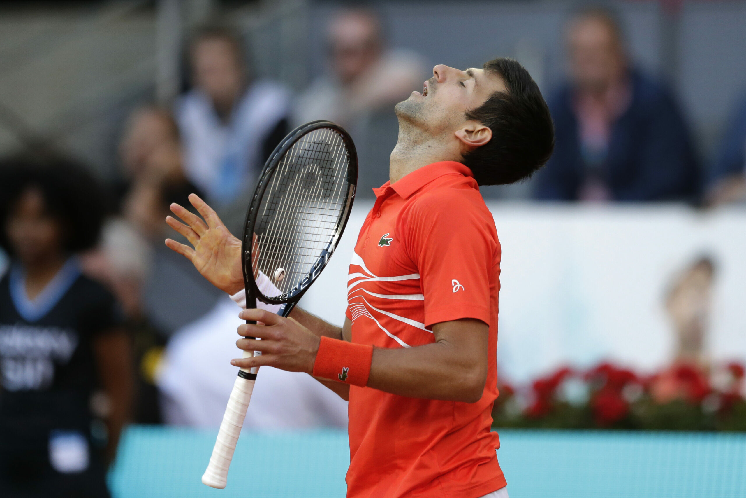 Novak Djokovic: 21 Grand Slam singles titles, Tennis. 2560x1710 HD Background.