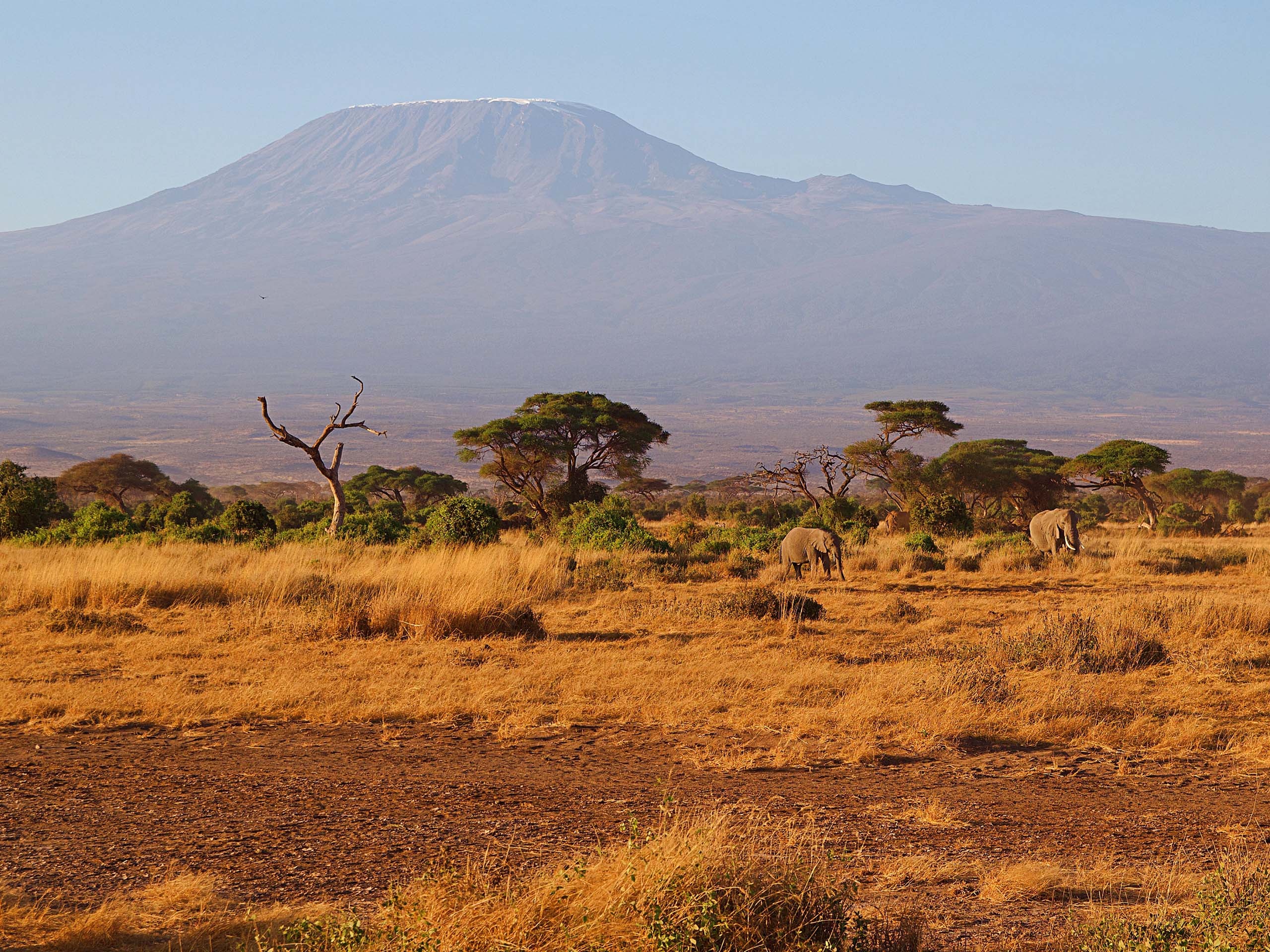 Mount Kilimanjaro, Best climbing time, 10adventures, Summit challenge, 2560x1920 HD Desktop