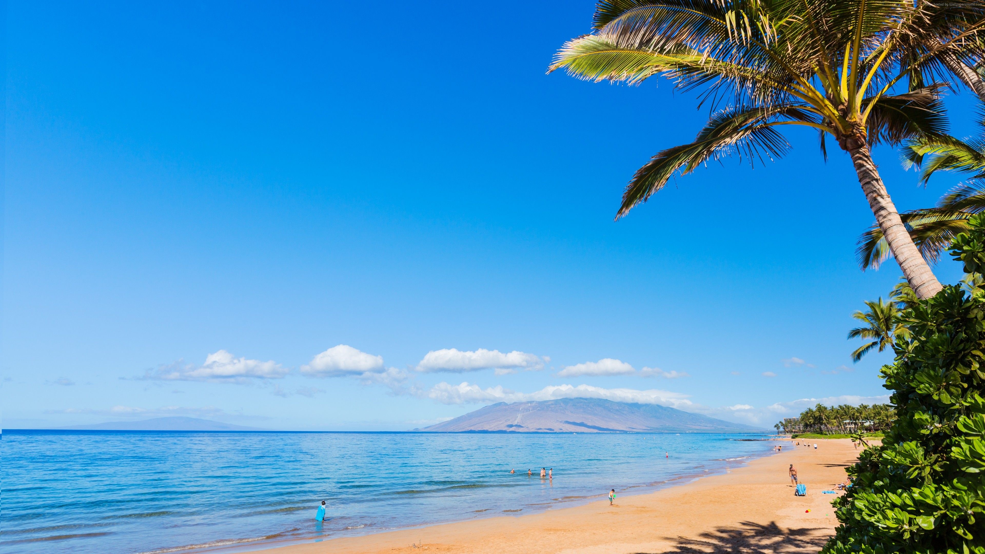 Maui coast, Serene beach, Nature's beauty, Hawaiian getaway, 3840x2160 4K Desktop