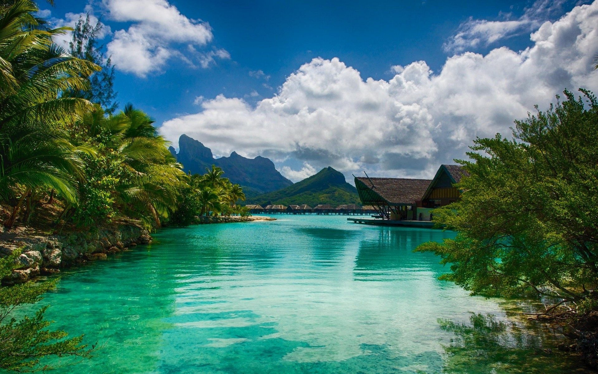 Bora Bora island, Intercontinental resort, Turquoise waters, Palm tree oasis, 1920x1200 HD Desktop
