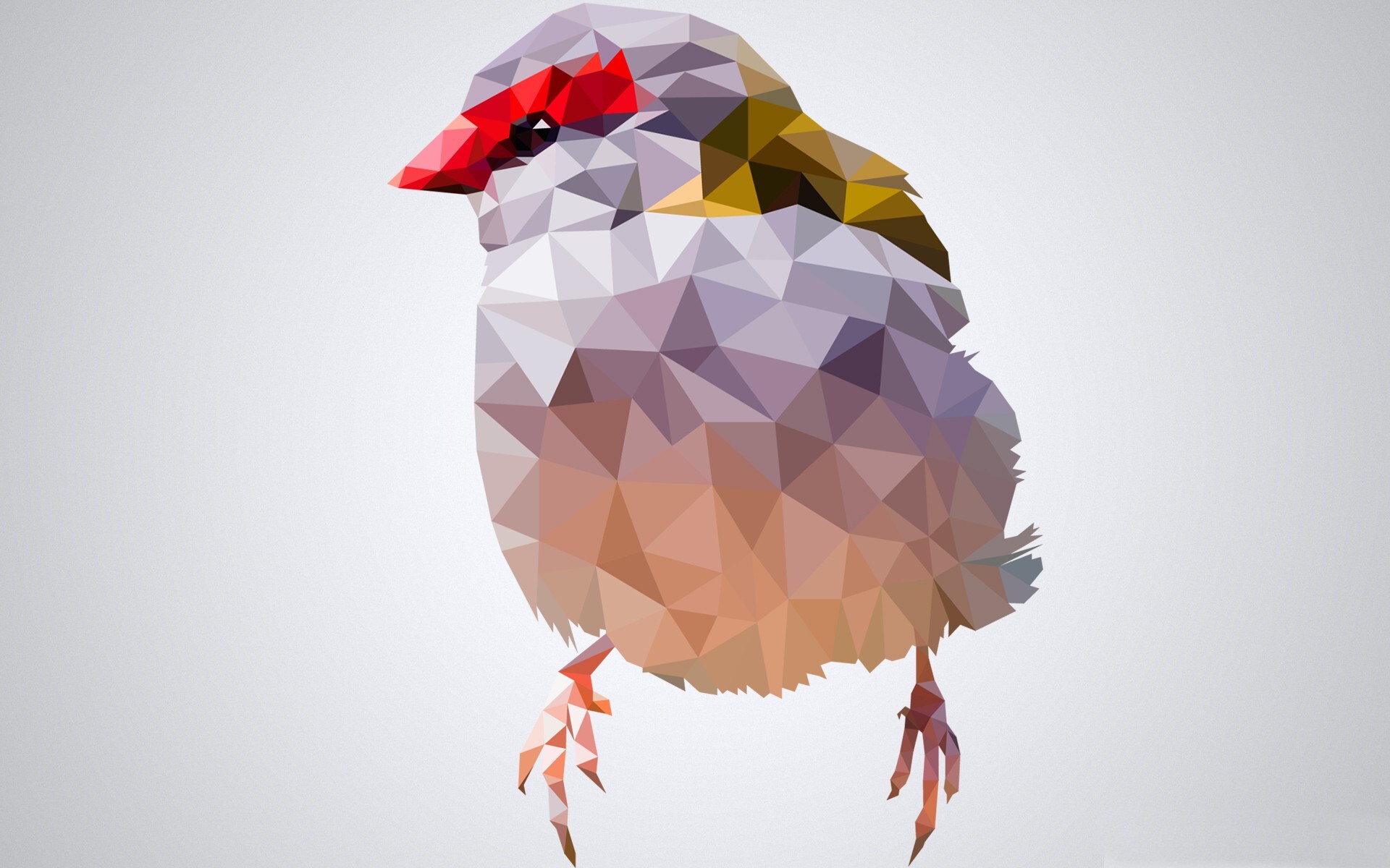 Geometric Animal: Polygon sparrow, Abstract triangular style, Colorful contour. 1920x1200 HD Background.