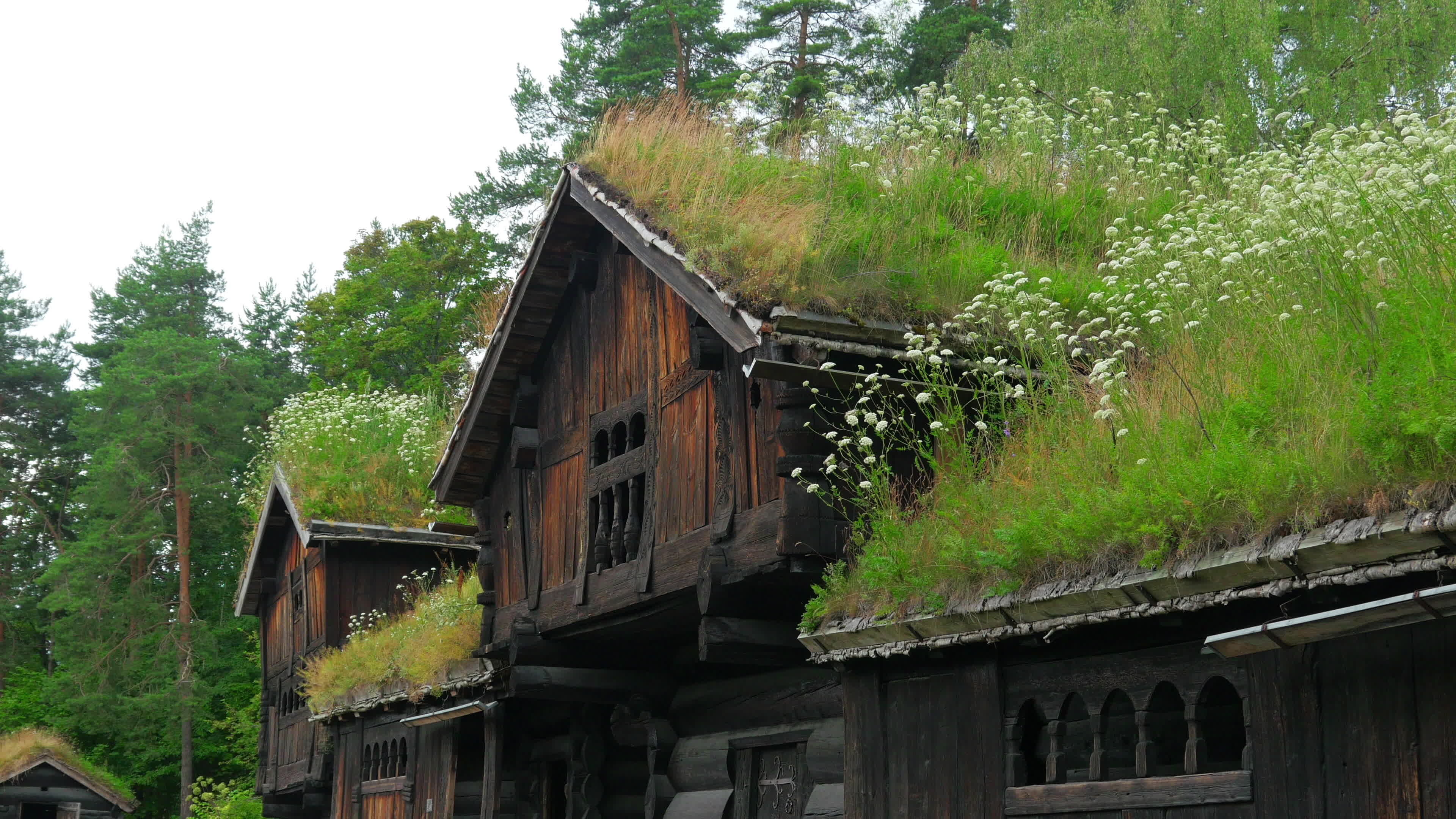 Norwegian village houses, Green rooftop charm, Serene countryside, Idyllic setting, 3840x2160 4K Desktop