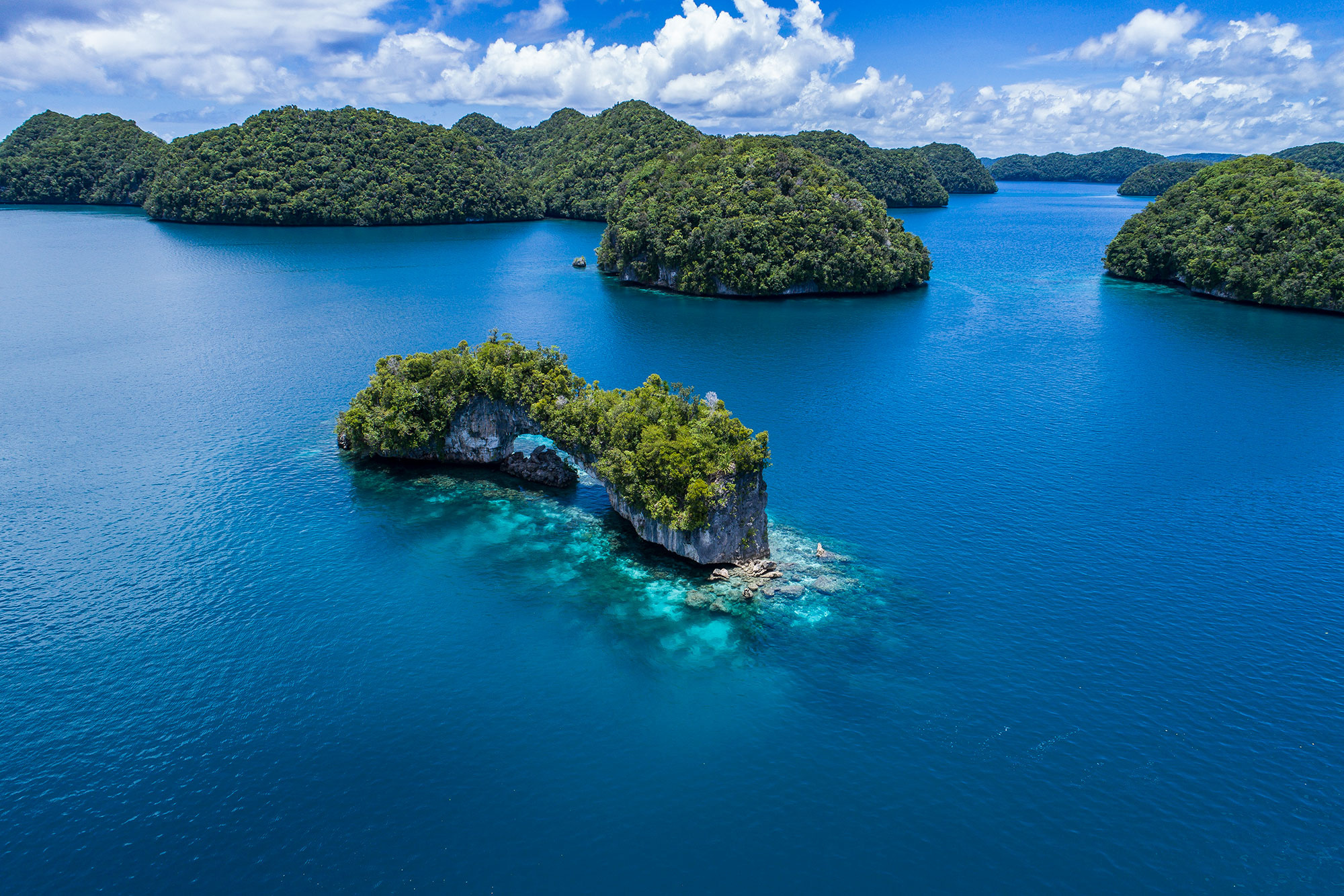 Palau, Dive paradise, Breathtaking underwater world, Aquatic wonders, 2000x1340 HD Desktop