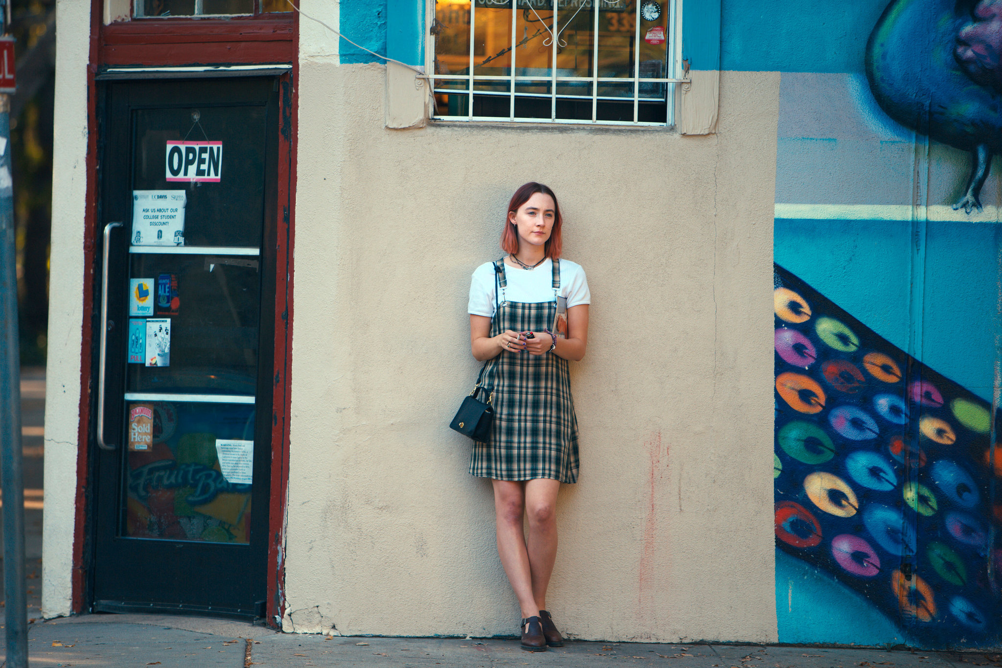 Lady Bird: The film set in Sacramento, California from fall 2002 to fall 2003. 2050x1370 HD Background.