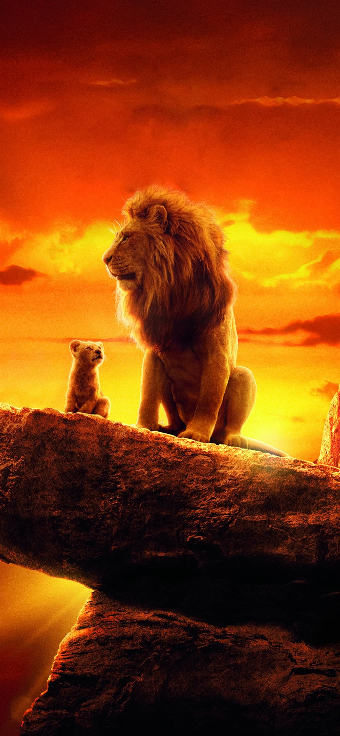The Lion King: King Mufasa, The newborn son, Simba, Animal kingdom. 1170x2540 HD Background.