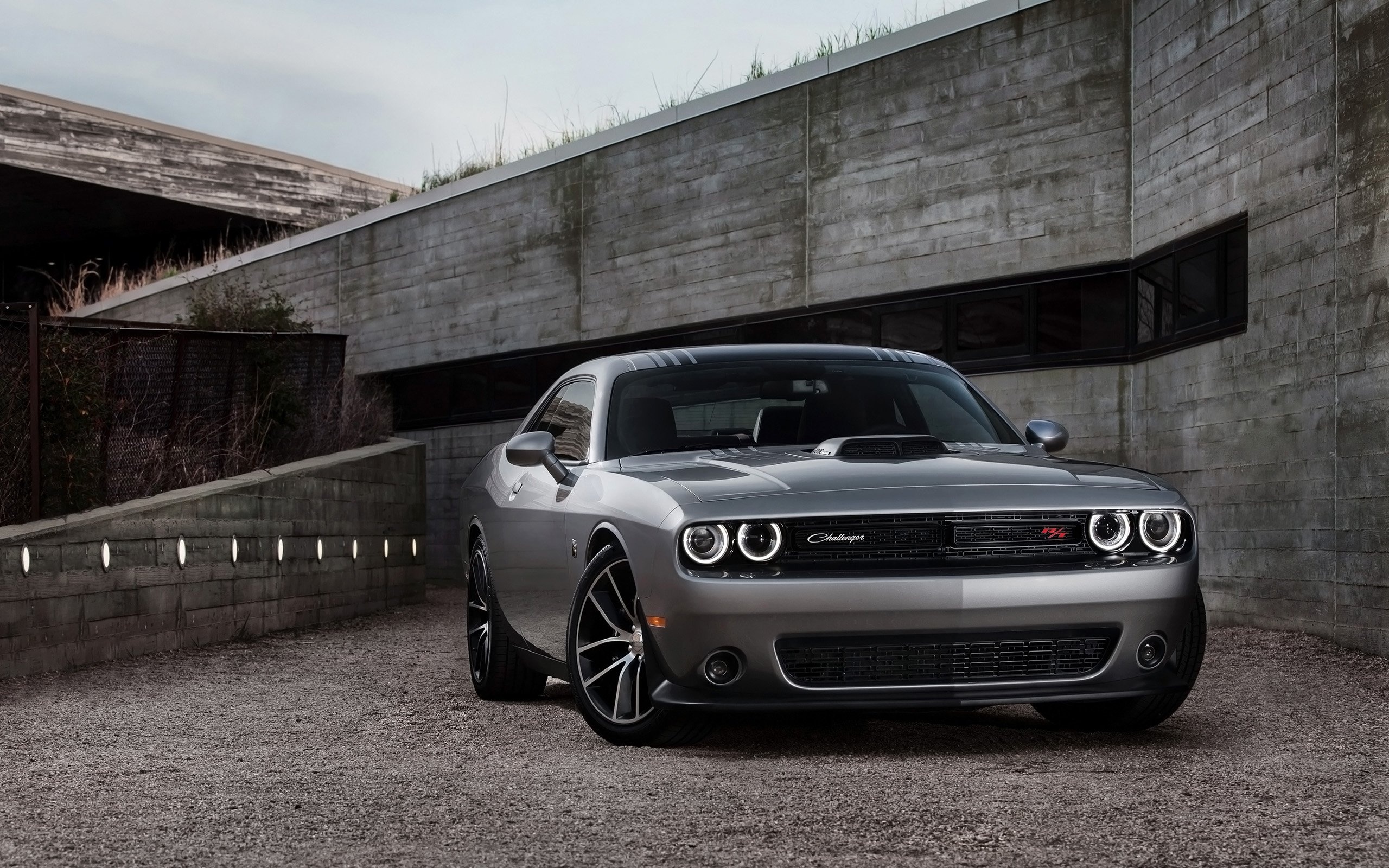 Dodge Challenger, Iconic muscle car, Powerful performance, Aggressive design, 2560x1600 HD Desktop