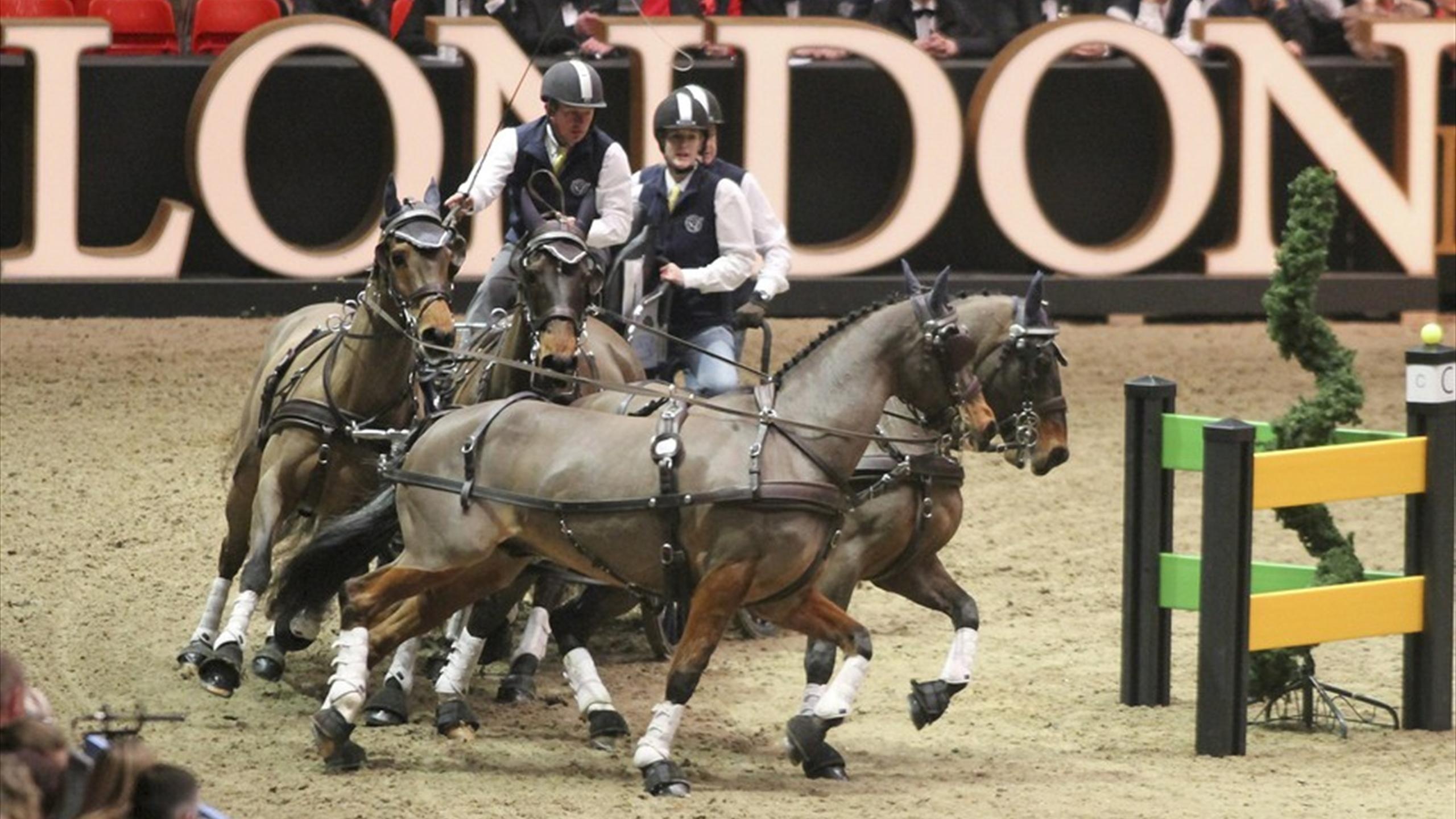 Carriage Driving, Exell excels, Olympia eurosport, Sports, 2560x1440 HD Desktop