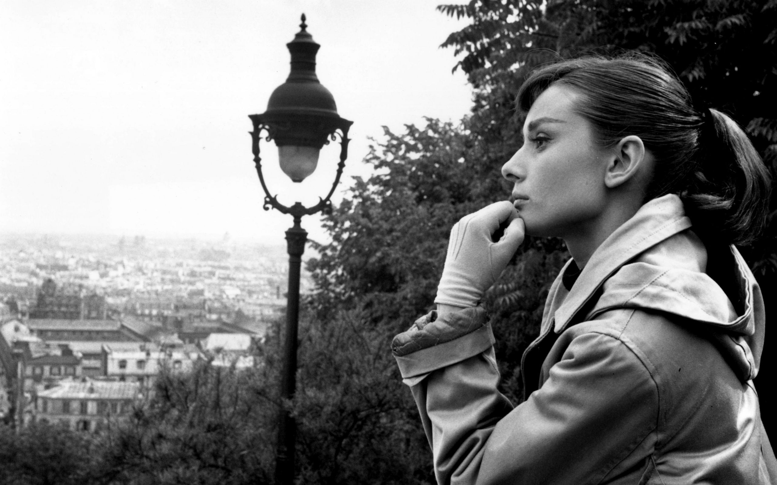 HD wallpaper of Audrey Hepburn, Timeless beauty, Classic actress, High-quality image, 2560x1600 HD Desktop