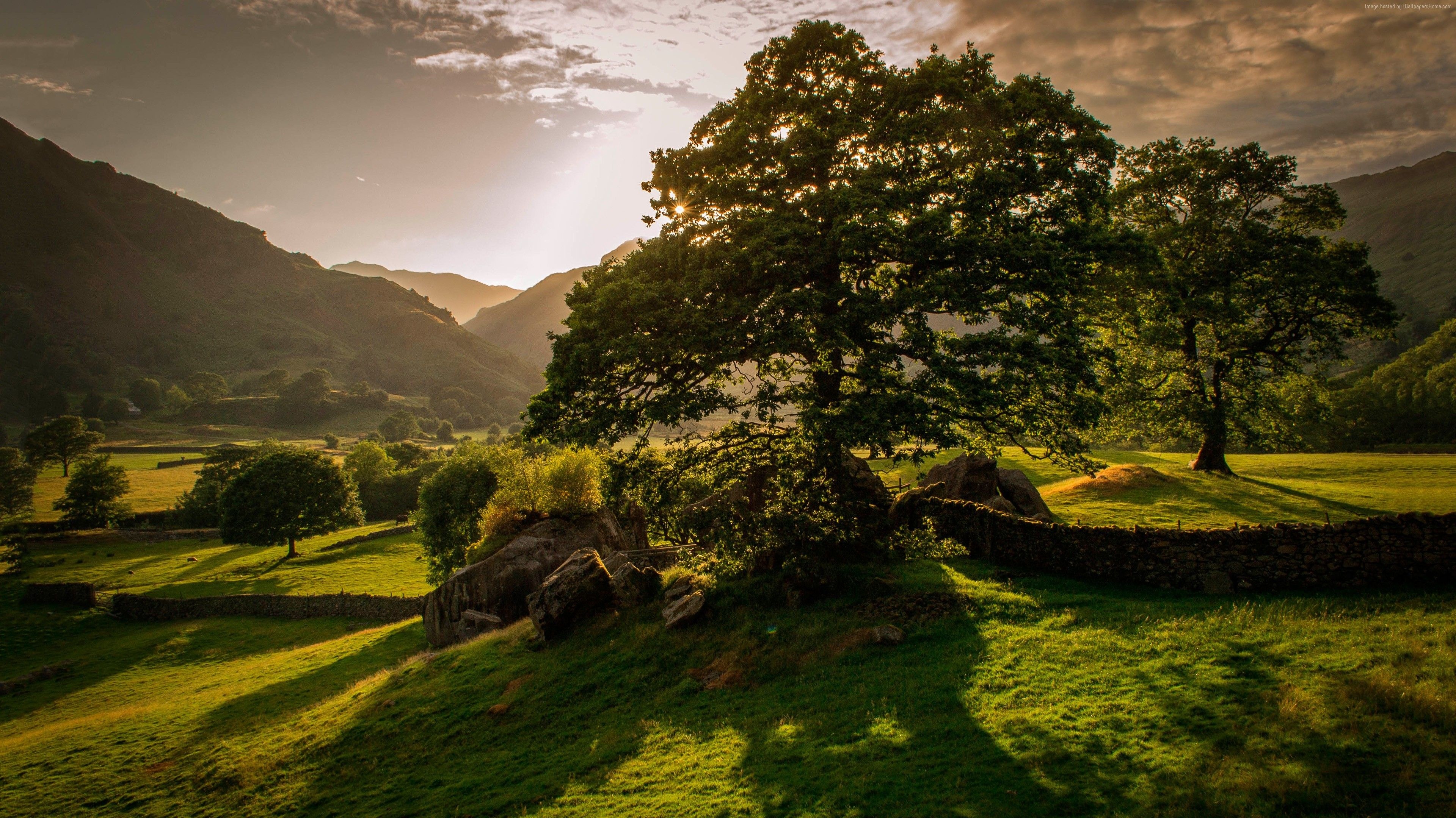 Irish countryside wallpapers, Stunning landscapes, Captivating views, Serene beauty, 3840x2160 4K Desktop