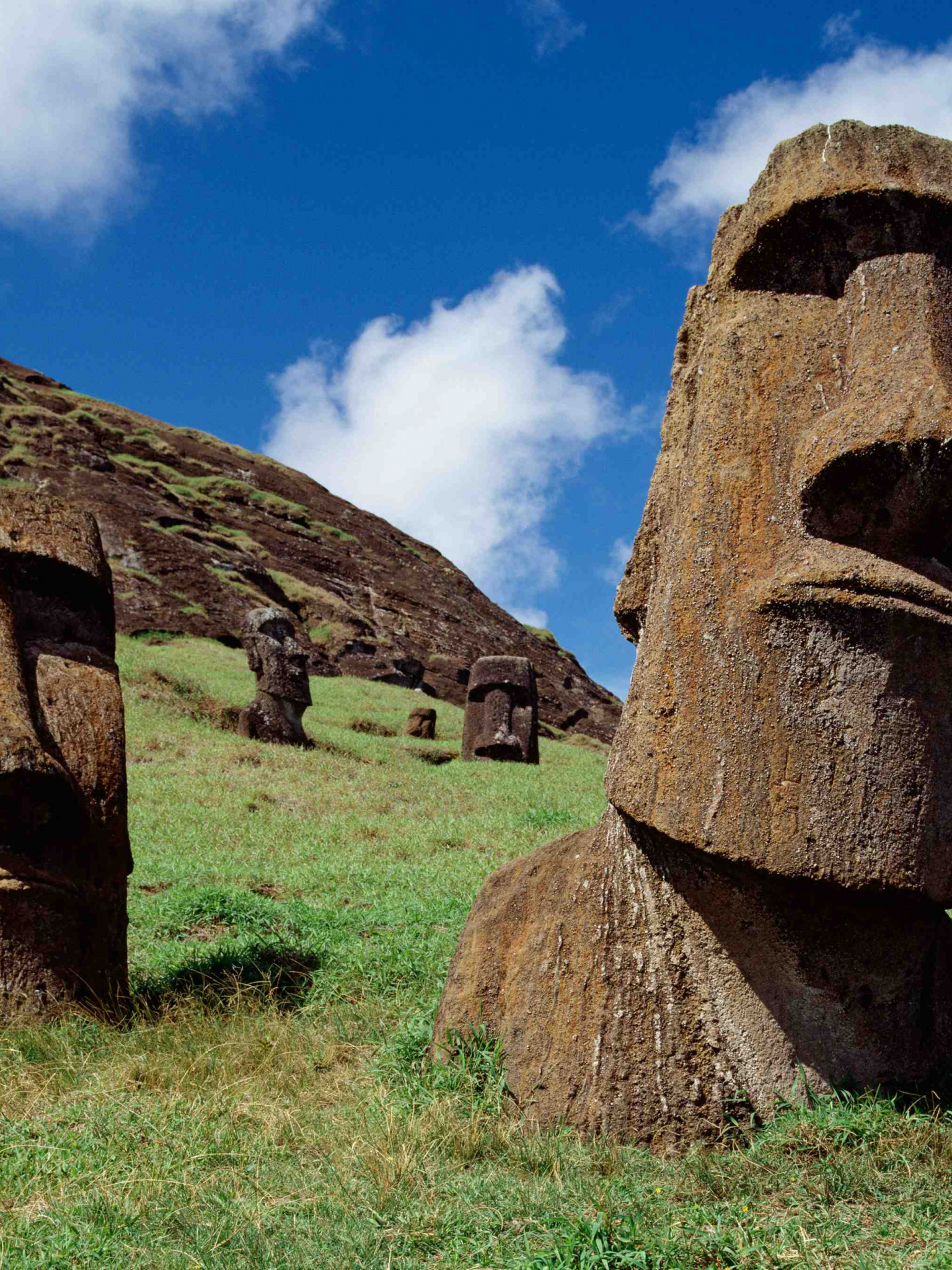 Easter Island, Sacred stone guardians, Unexplained Polynesian statues, South Pacific wonder, 1540x2050 HD Phone