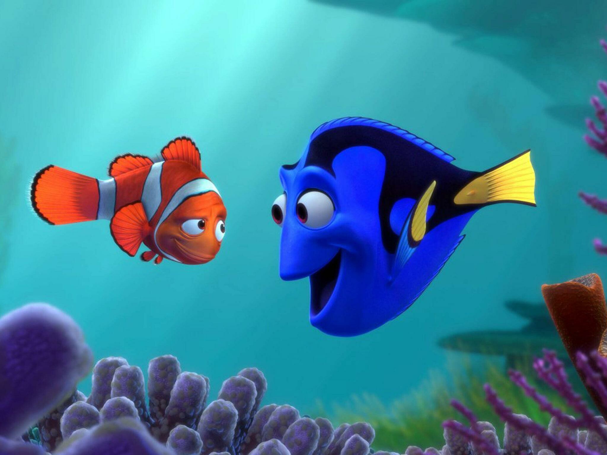 Finding Nemo: The sequel, Finding Dory, A 2016 American computer-animated comedy. 2050x1540 HD Wallpaper.