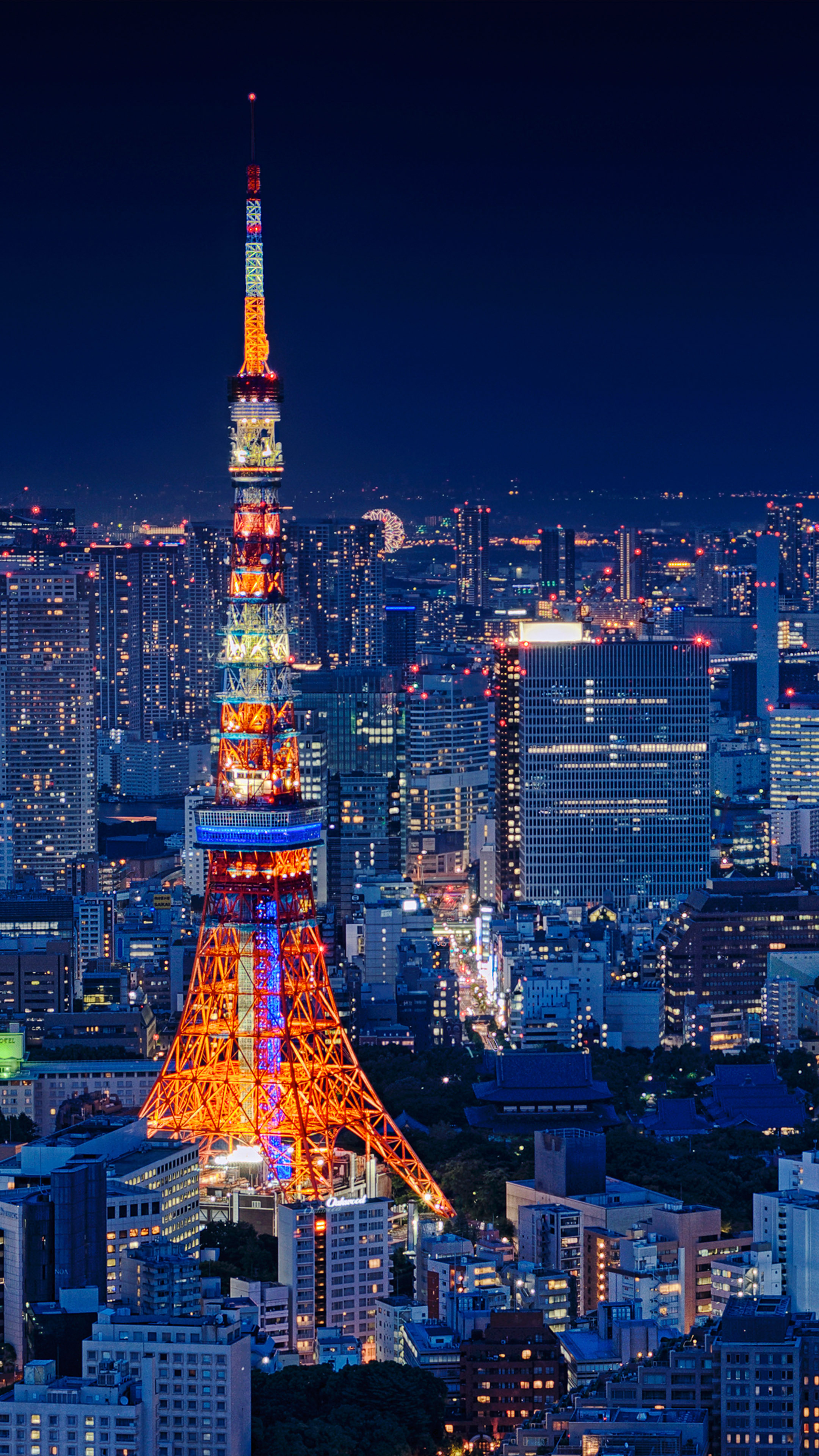 Cityscape: Tokyo Tower at night, The Shiba-koen district of Minato, The second-tallest structure in Japan. 2160x3840 4K Wallpaper.