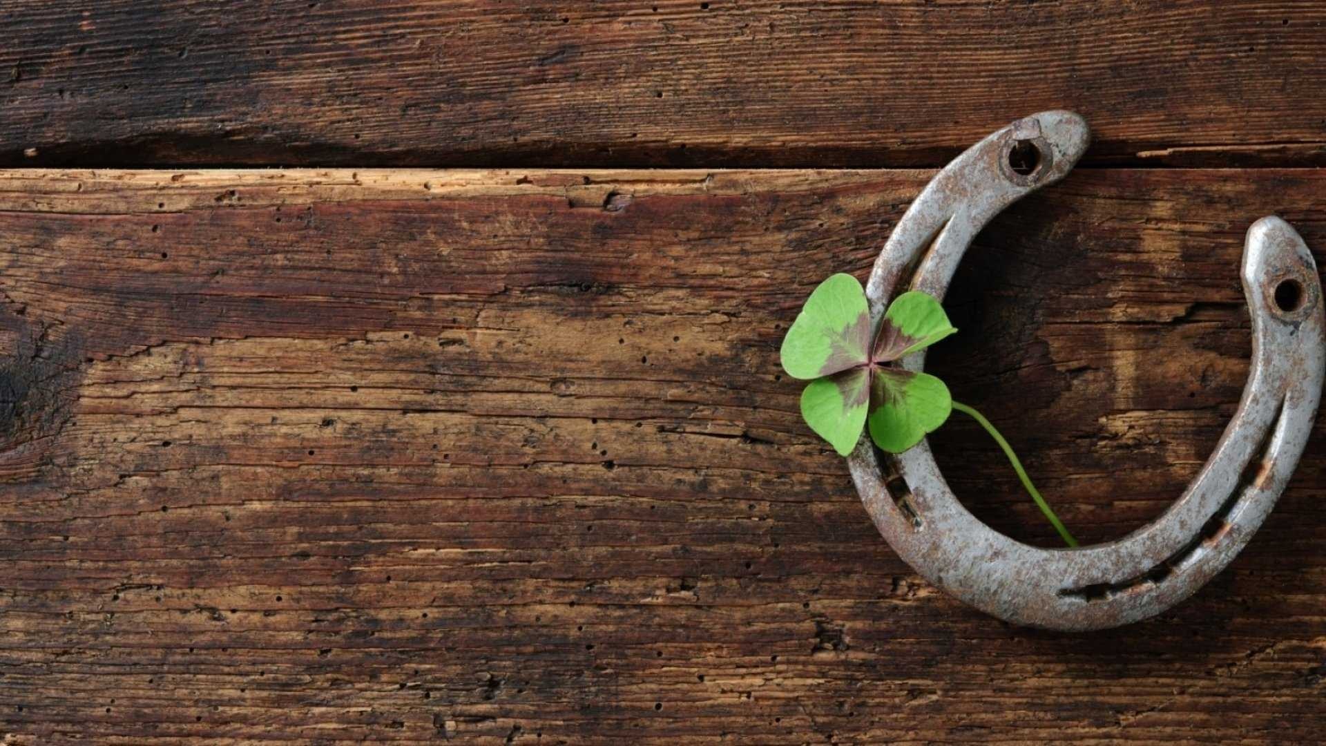 Good Luck: A horseshoe and a four-leaf clover, The most well-known symbols of luck. 1920x1080 Full HD Wallpaper.