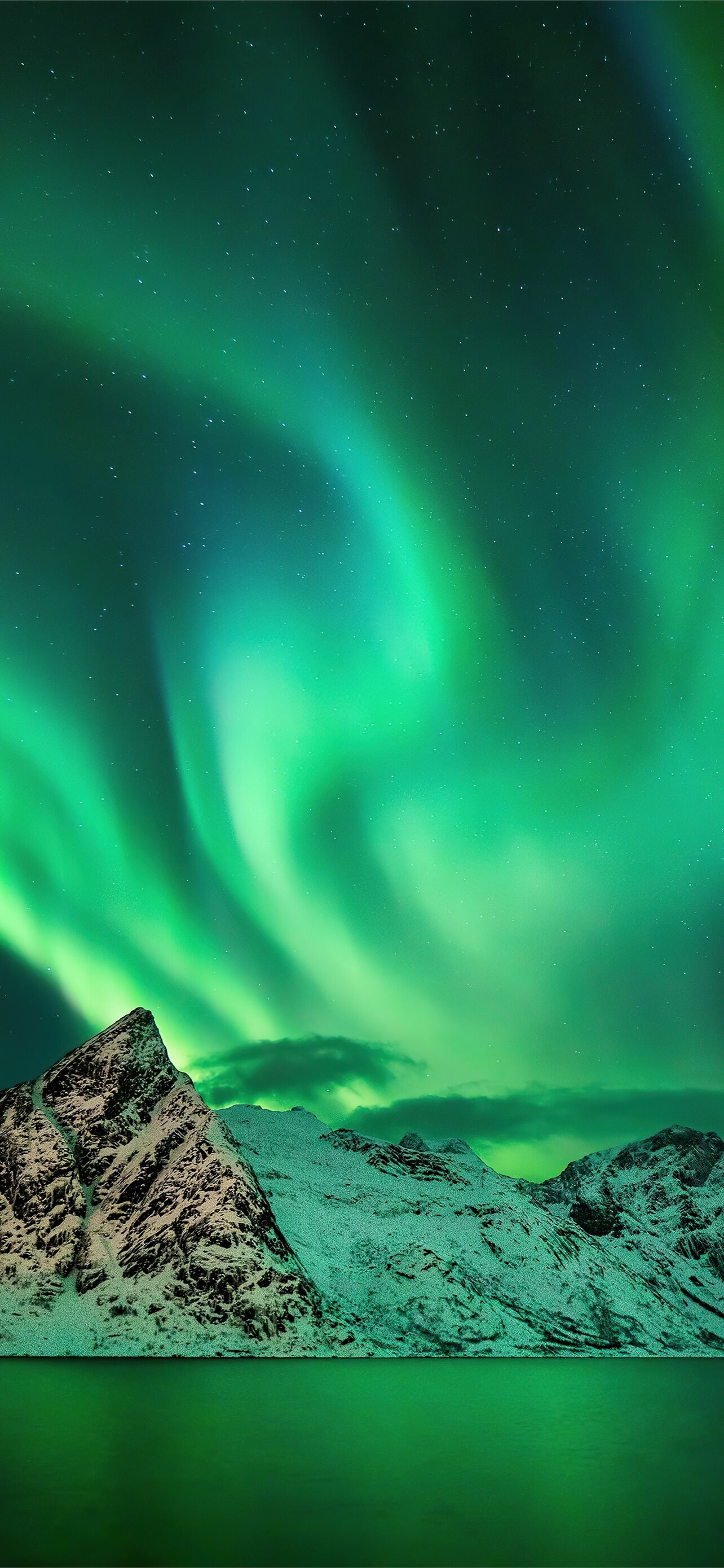 Aurora Borealis: Northern Lights, Luminous green and purple streaks across the skies. 1290x2780 HD Background.