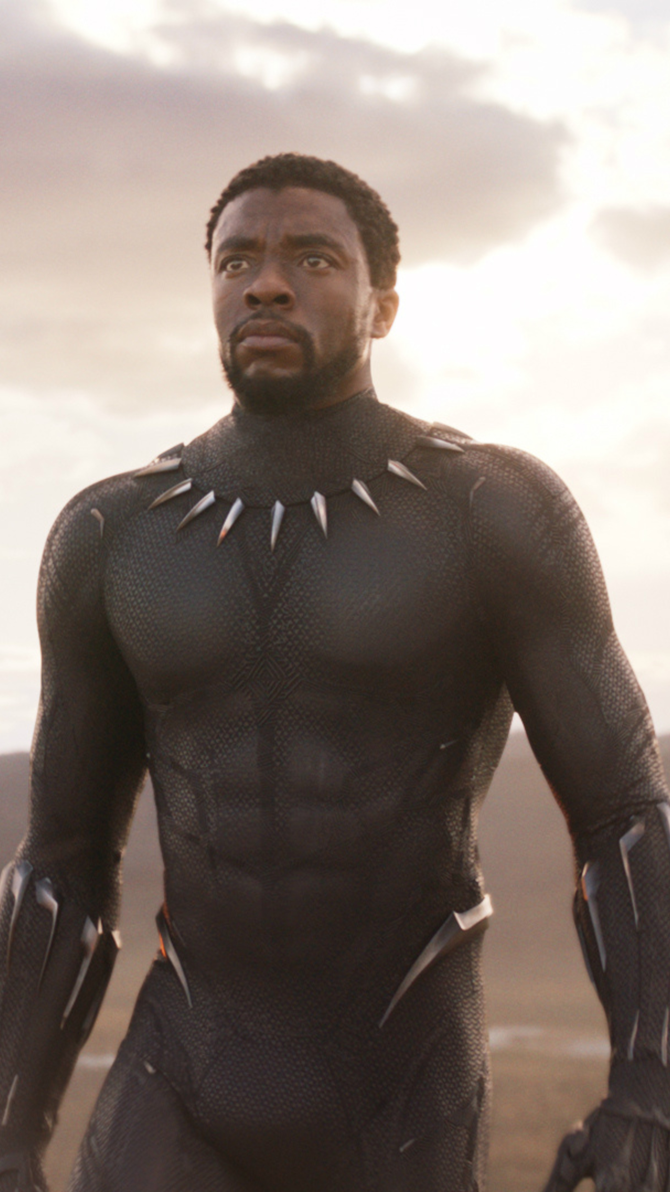 T'Challa, Sony Xperia wallpapers, Black Panther character, HD 4K, 2160x3840 4K Phone