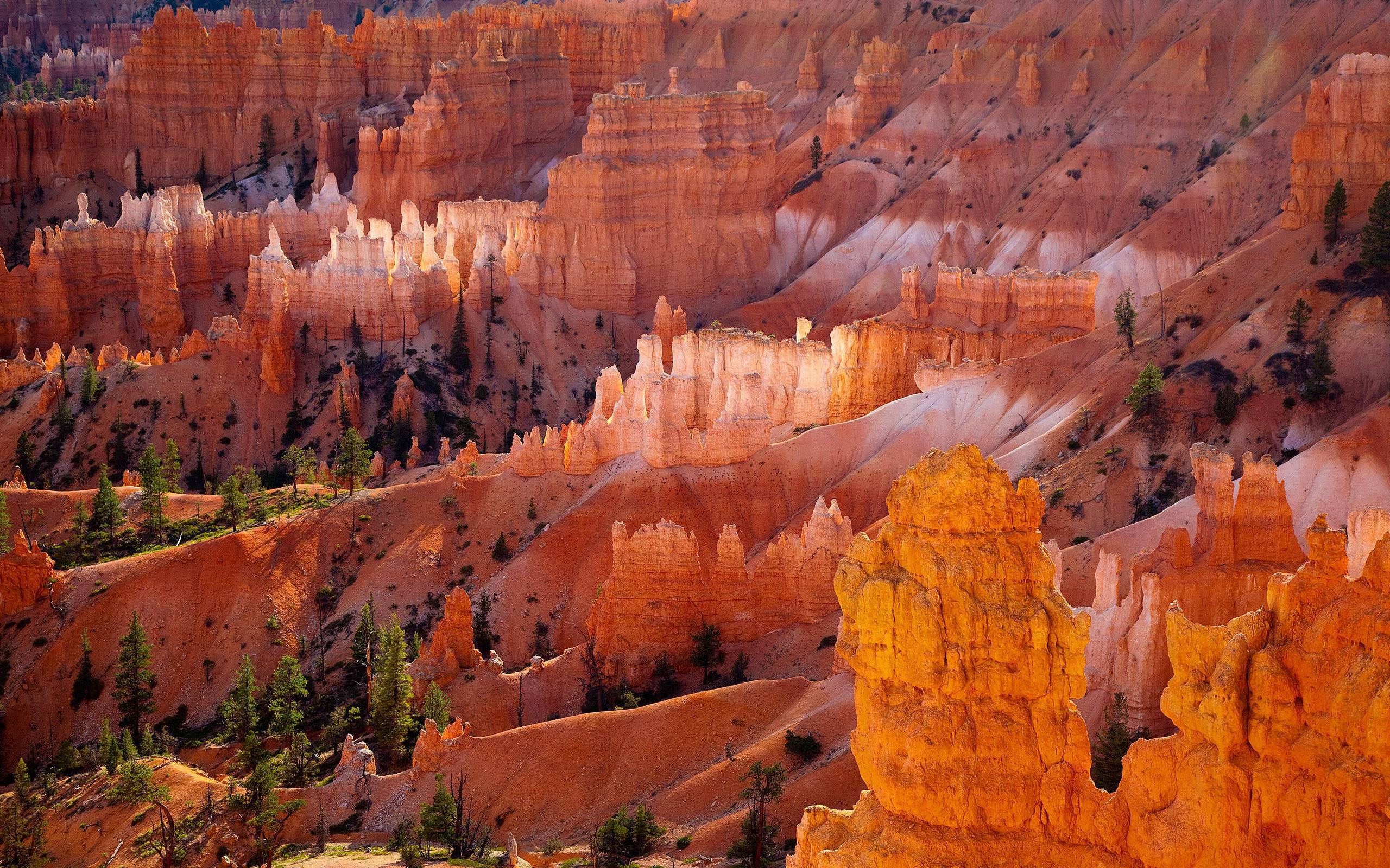 Bryce Canyon, Stunning wallpapers, HD backgrounds, Nature beauty, 2560x1600 HD Desktop