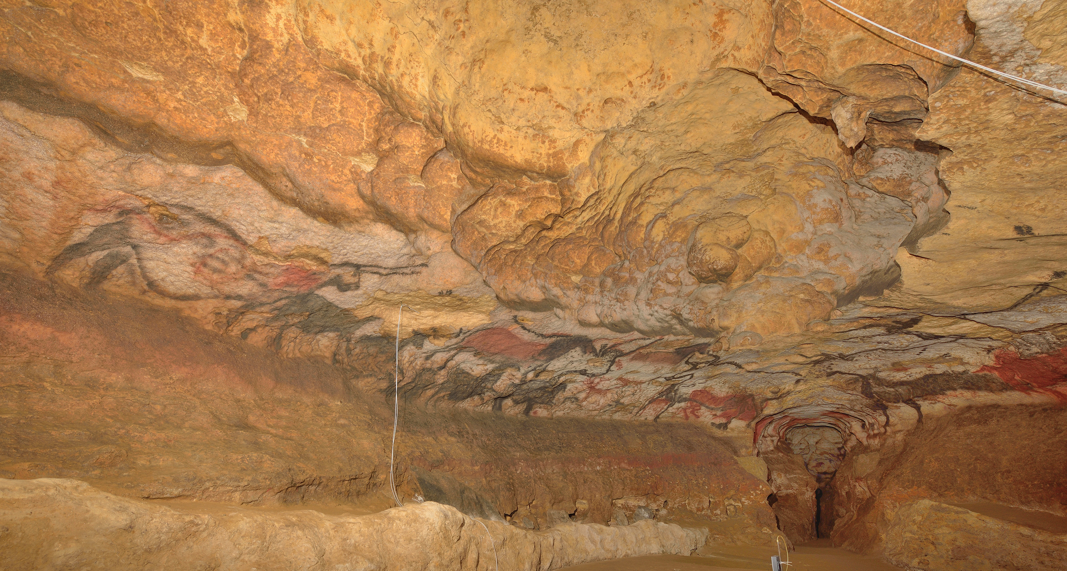 Lascaux cave microbiome, Pristine and anthropized caves, Comparative study, Ecological research, 3500x1880 HD Desktop