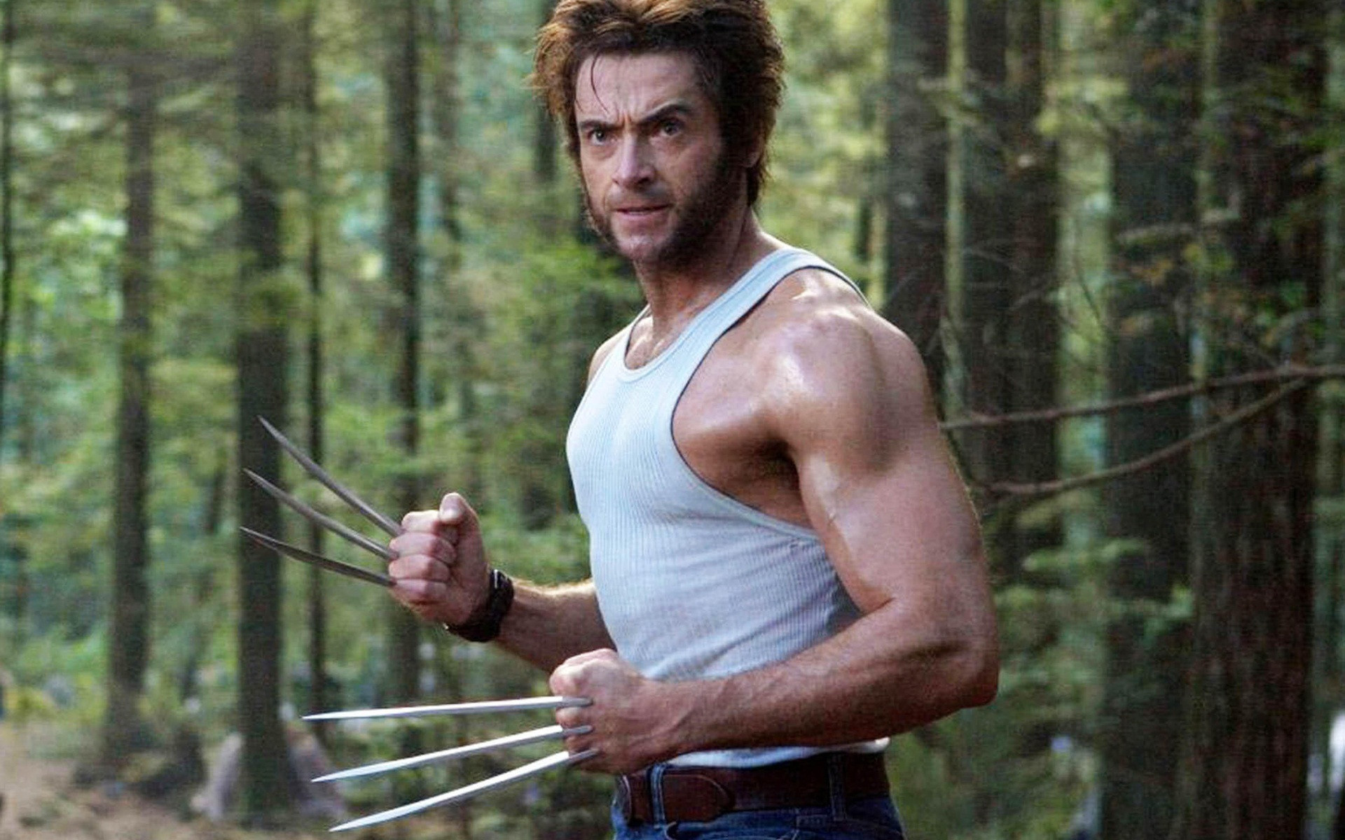 The Wolverine, Wolverine Wallpaper, ID38177, 1920x1200 HD Desktop