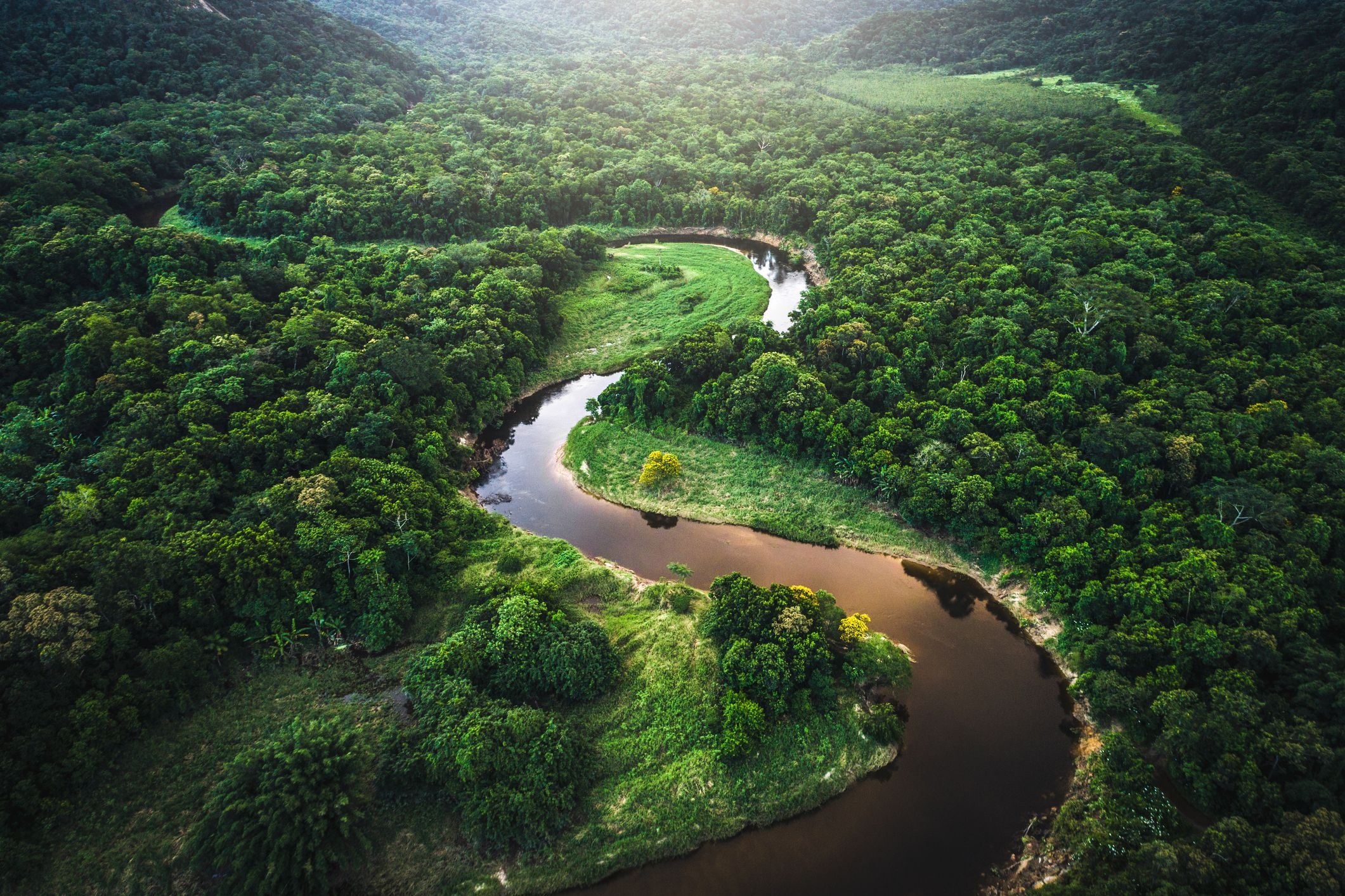 Üppig grünes Blätterdach im Amazonas-Regenwald, 2130x1420 HD Desktop