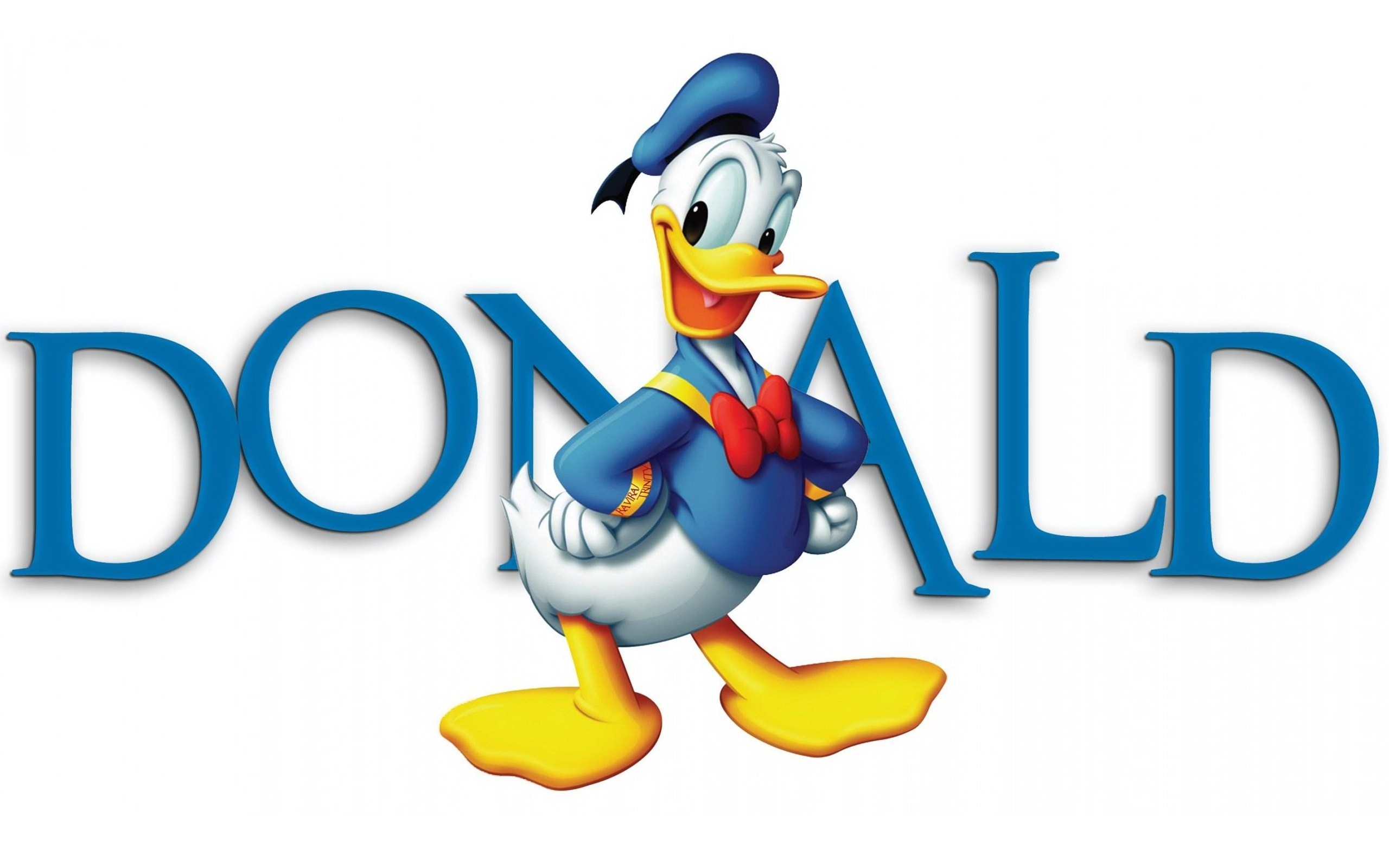 Donald Duck: A short-tempered, impatient, angry, white anthropomorphic duck, Illustration. 2560x1600 HD Wallpaper.