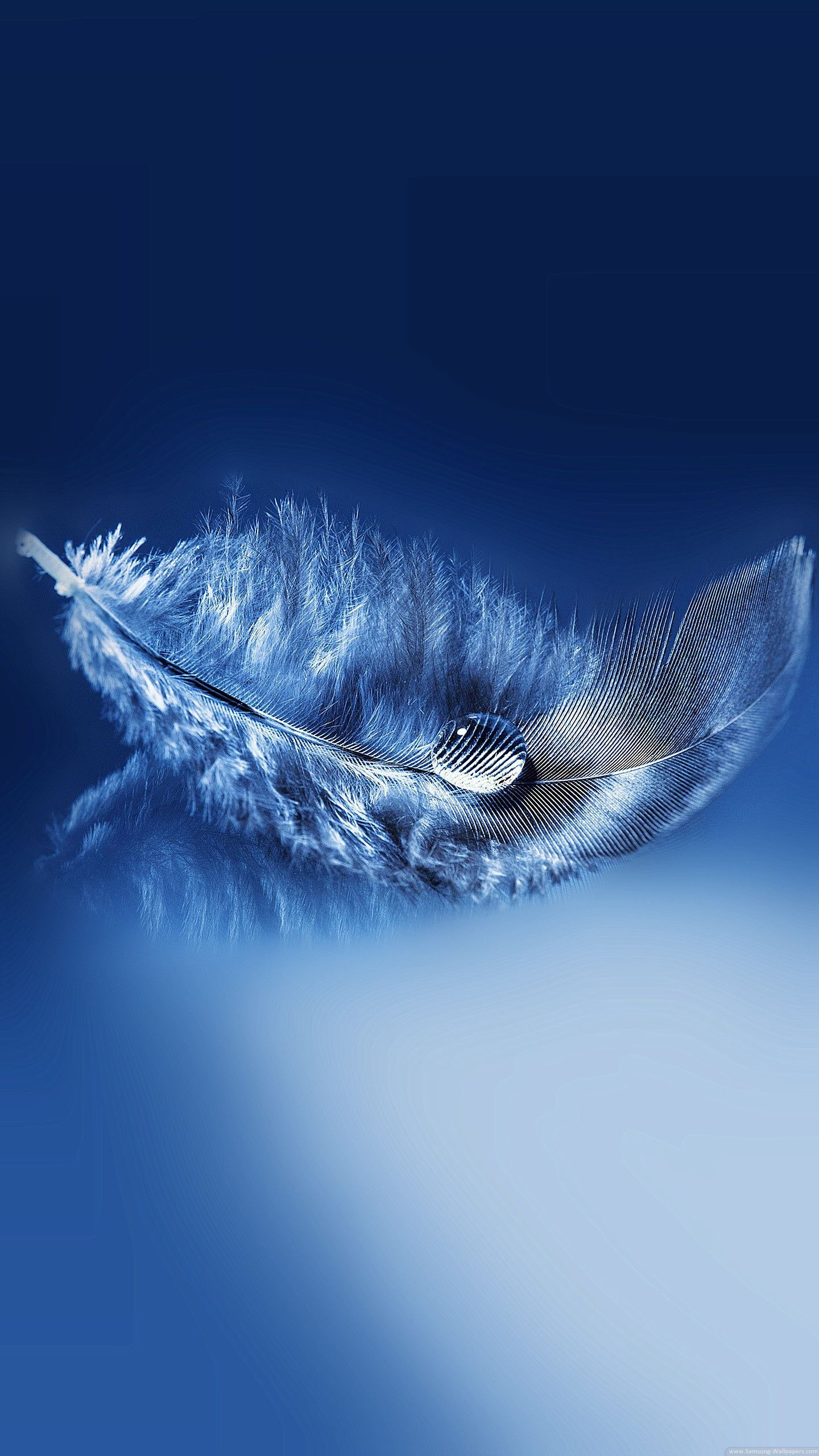 Feather: Made of a special type of protein called beta-keratin protein. 1440x2560 HD Background.