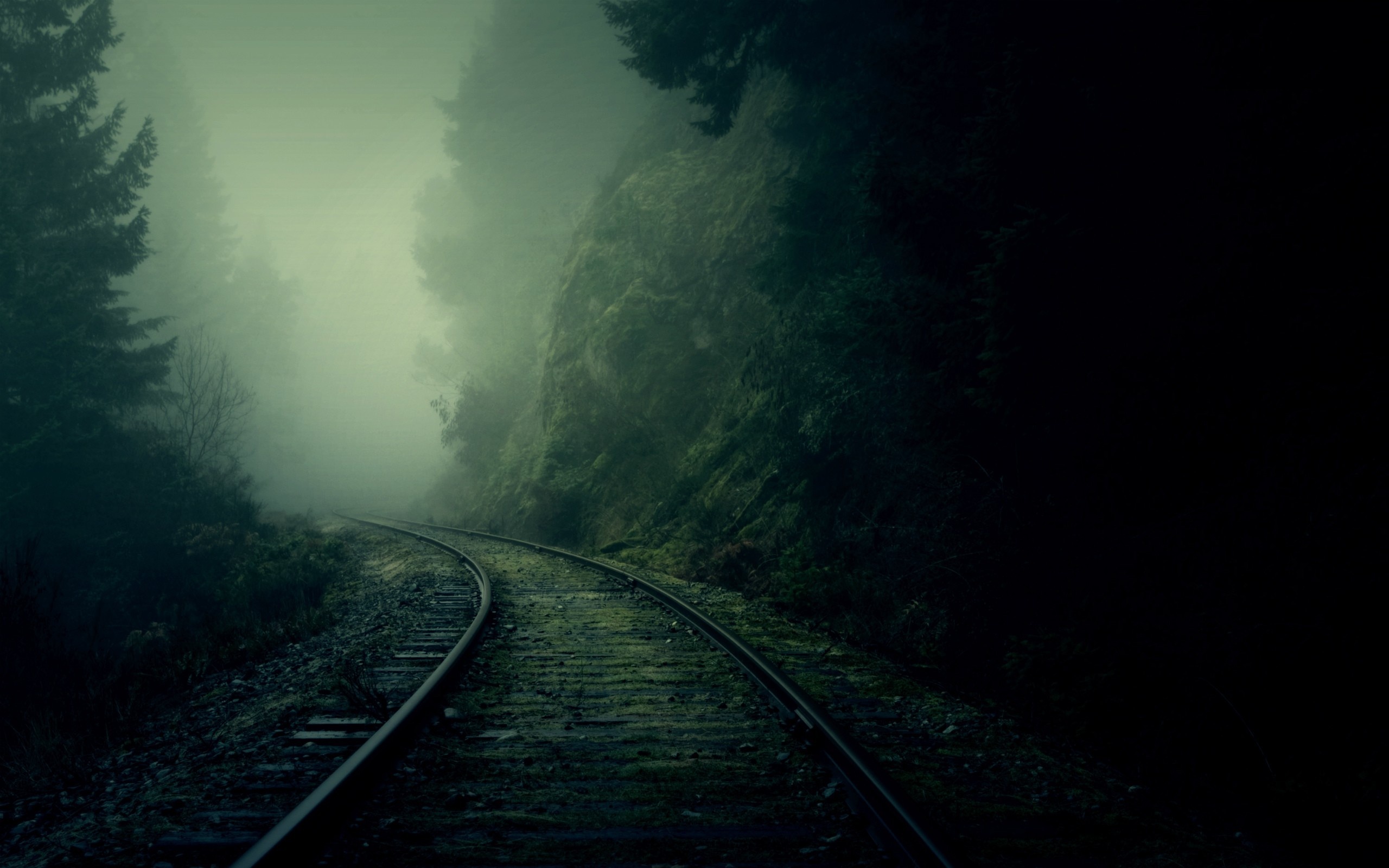 Railway travels, Misty forest, Dark beauty, Atmospheric scenery, 2560x1600 HD Desktop
